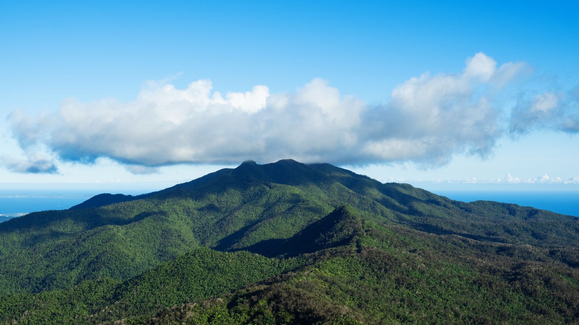 El Yunque National Forest in northeastern Puerto Rico.