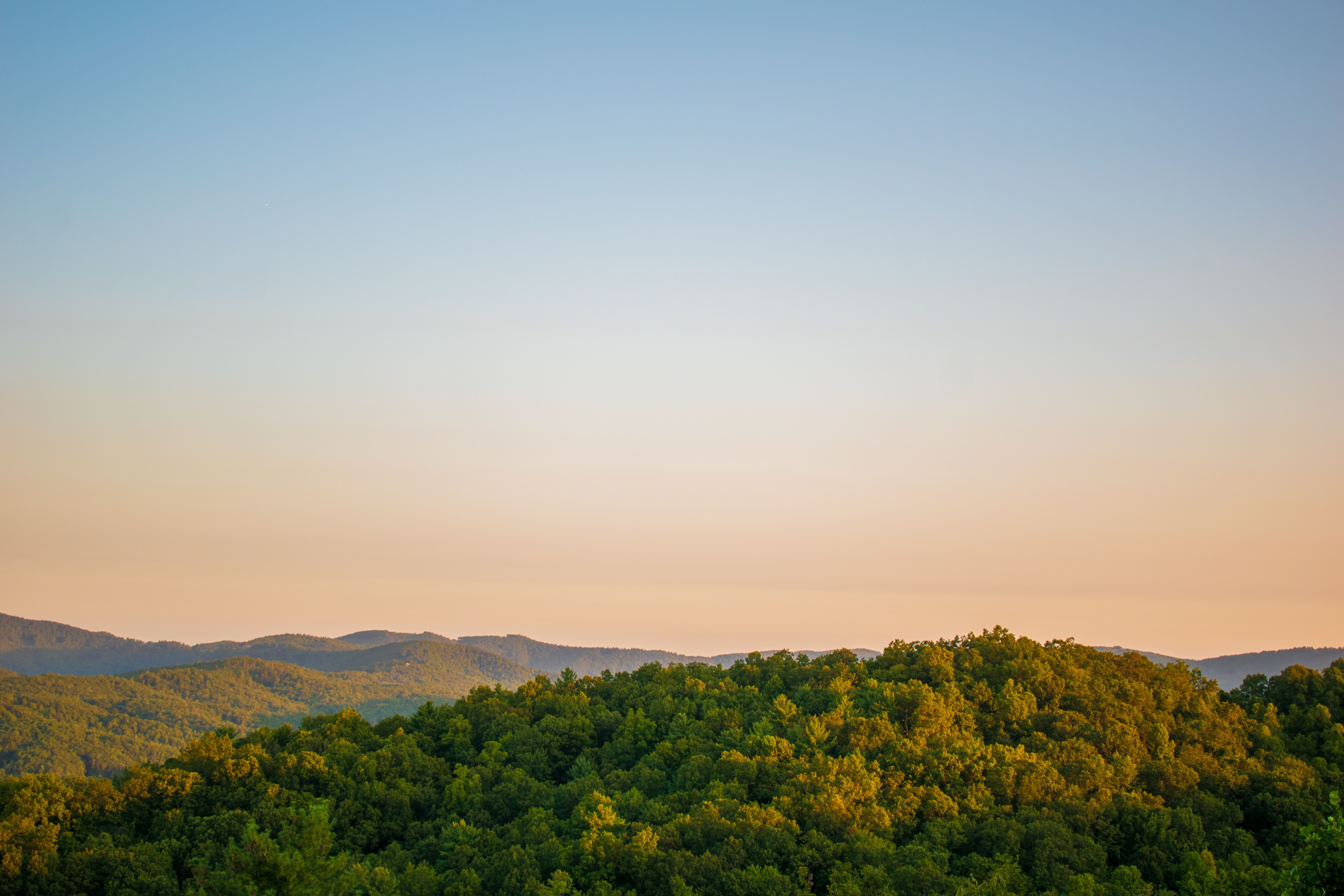 A forest landscape under a colorful sky in North Carolina