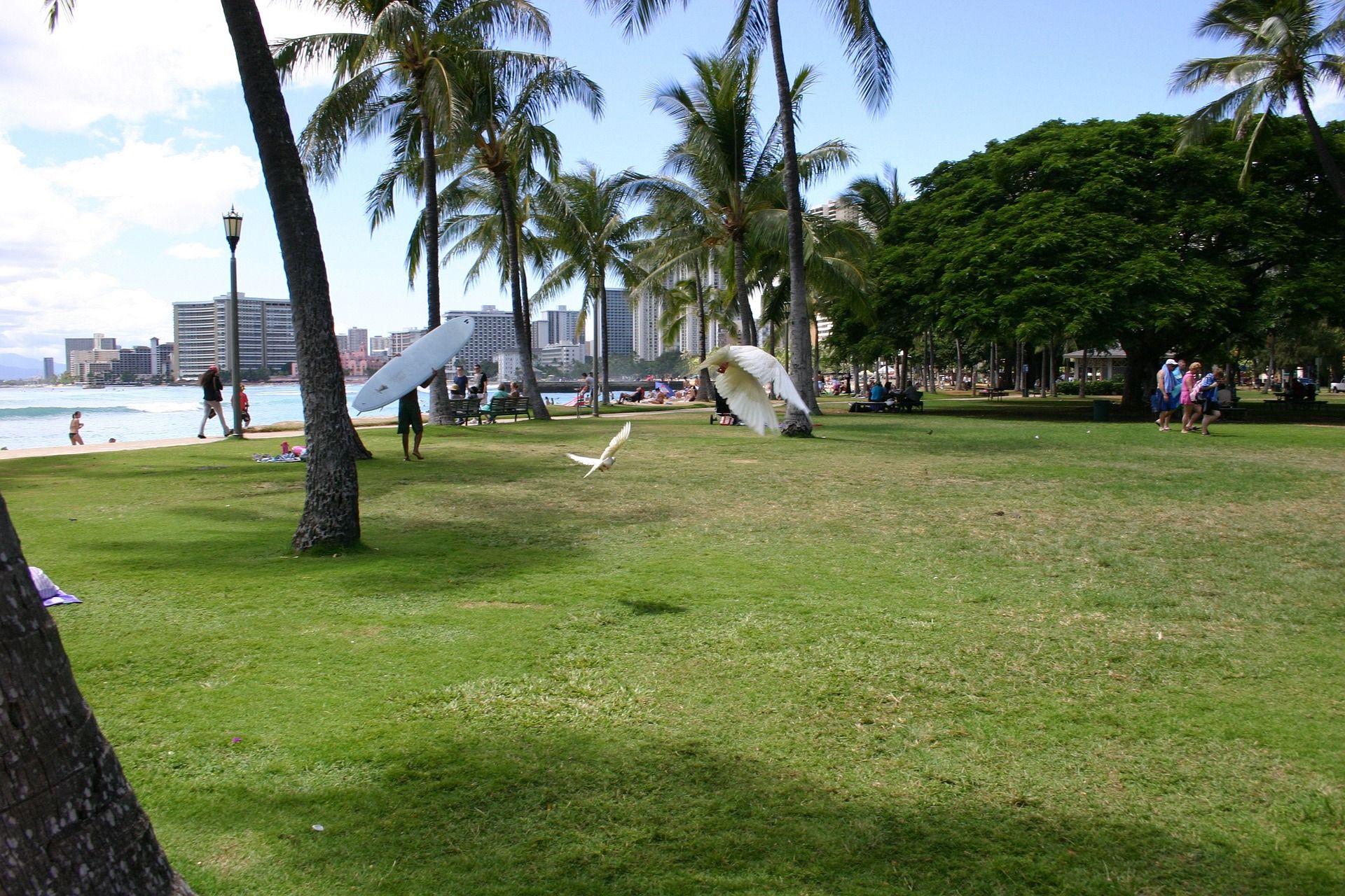 Park in Honolulu, Hawaii