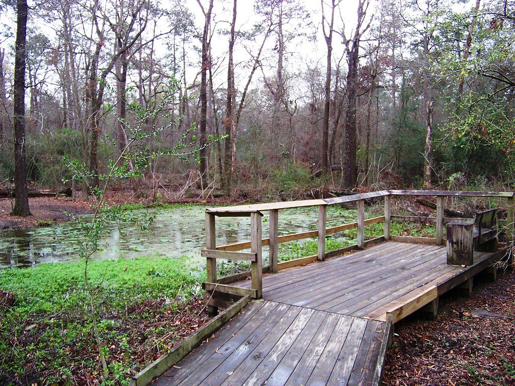 A boardwalk in the Houston Arboretum & Nature Center