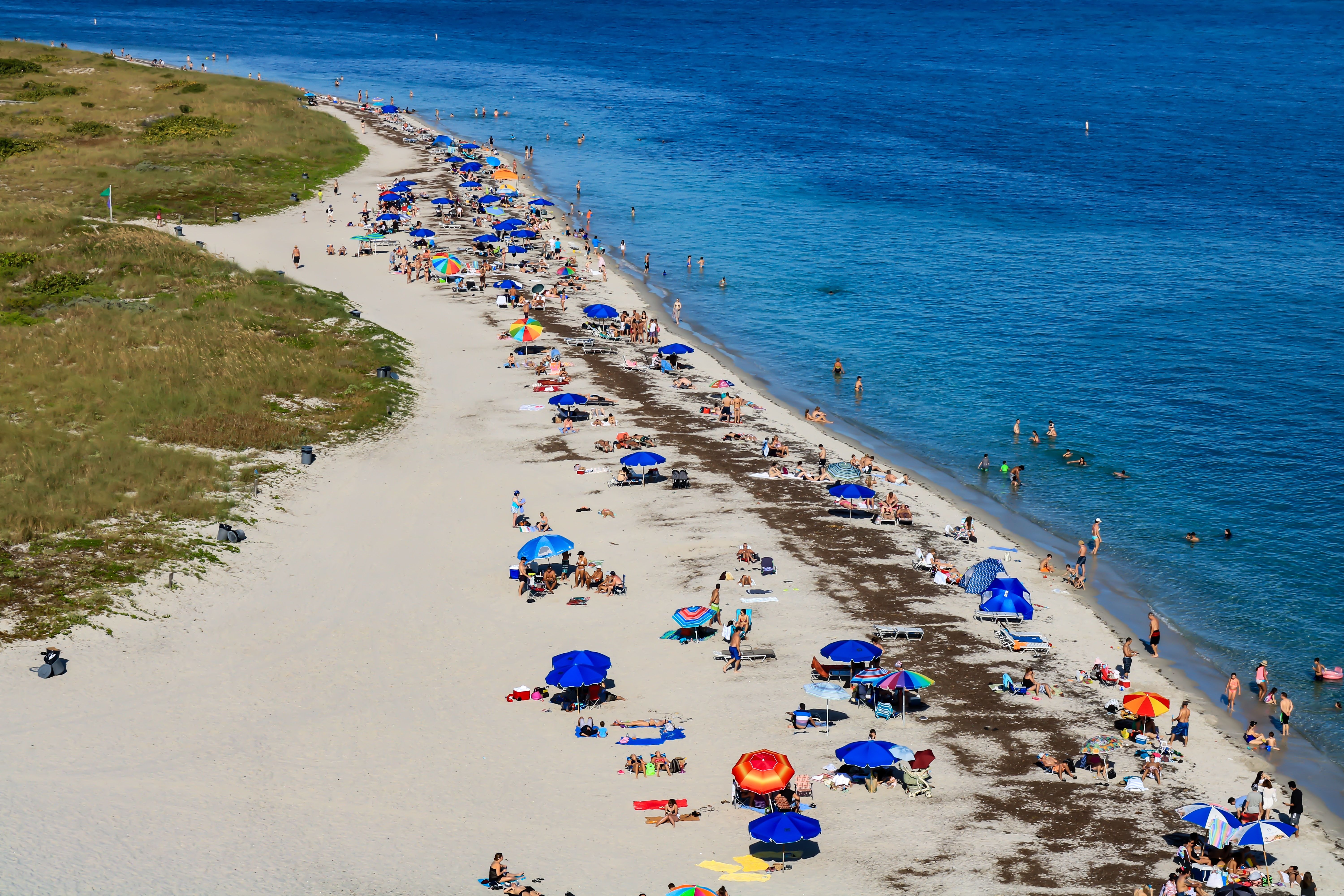 Tourists sunbathing and swimming in a beach in Key Biscayne on a sunny day, Florida
