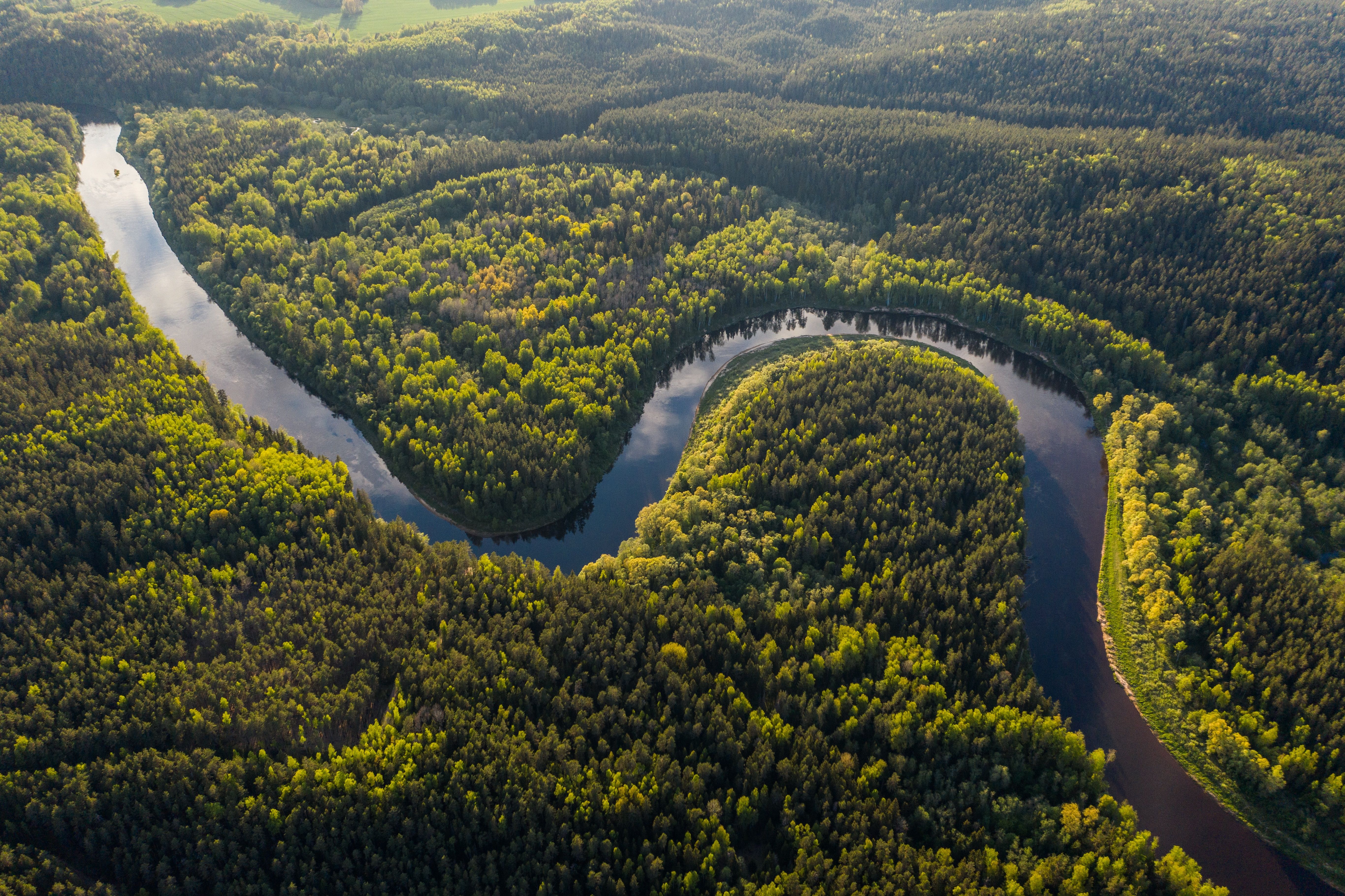 An aerial view of a river winding through the Amazon Rainforest