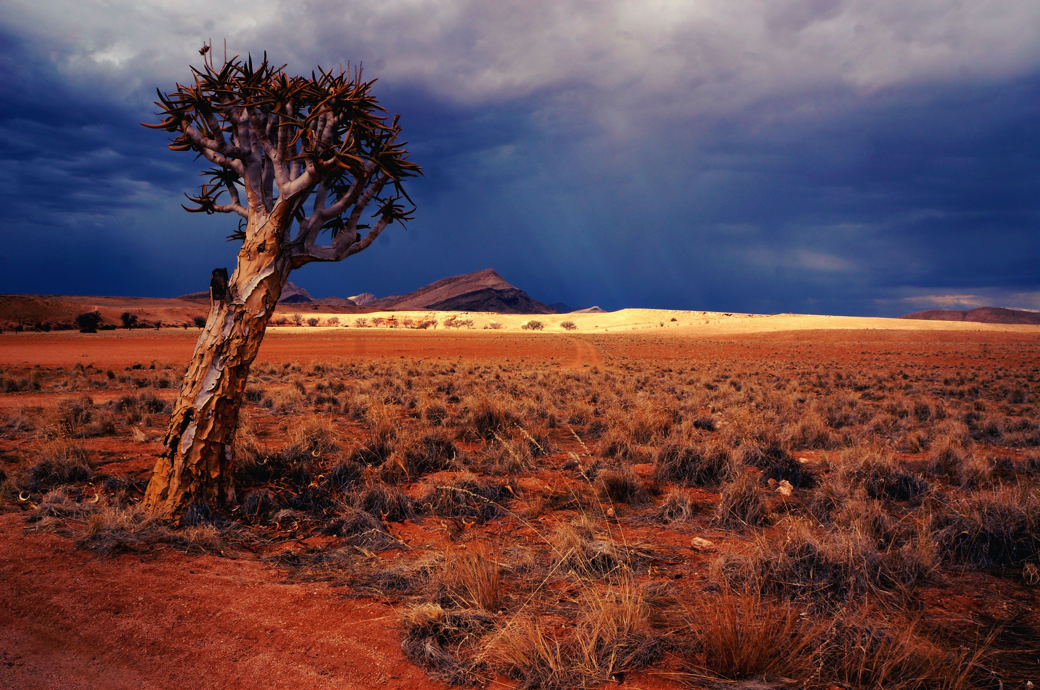 Sossuvlei in Namibia