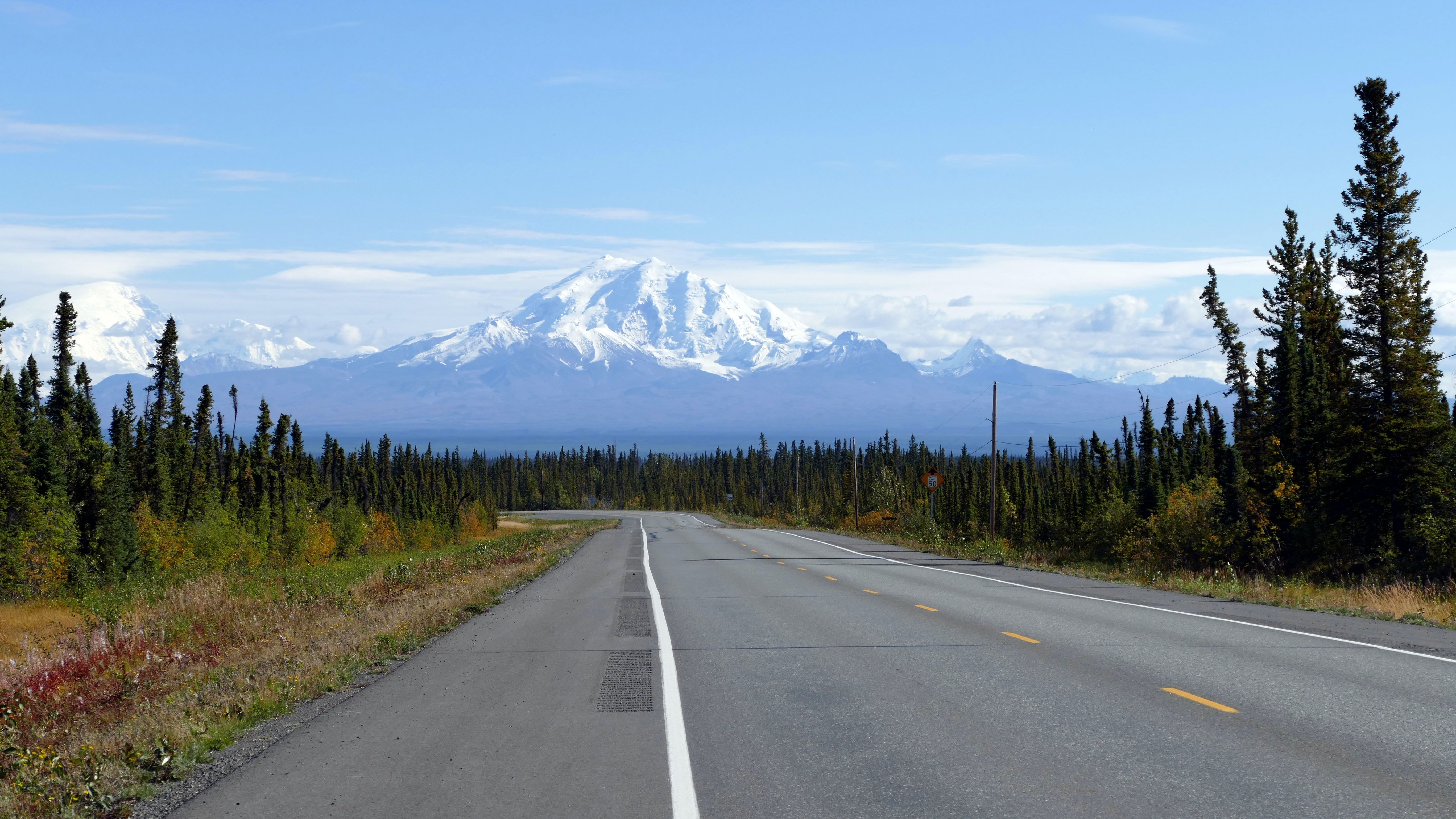 Highway trees Alaska mountains blue sky