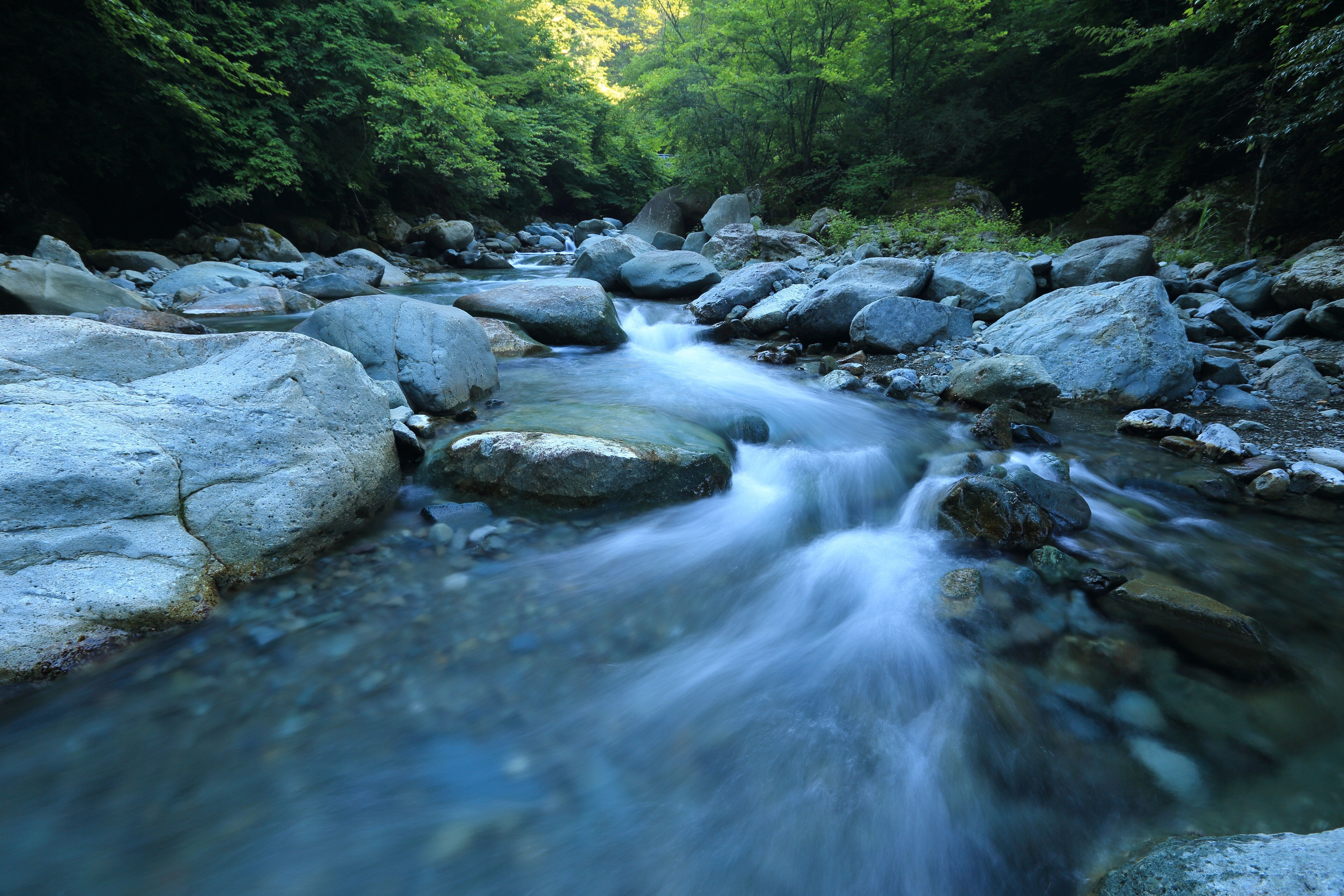Água correndo em um leito de rio rochoso 