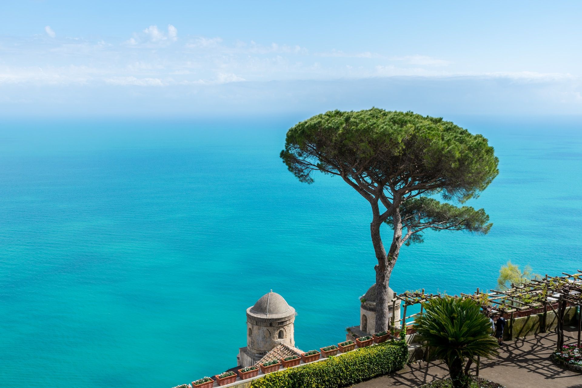 Trees in front of blue-green water on the Amalfi Coast