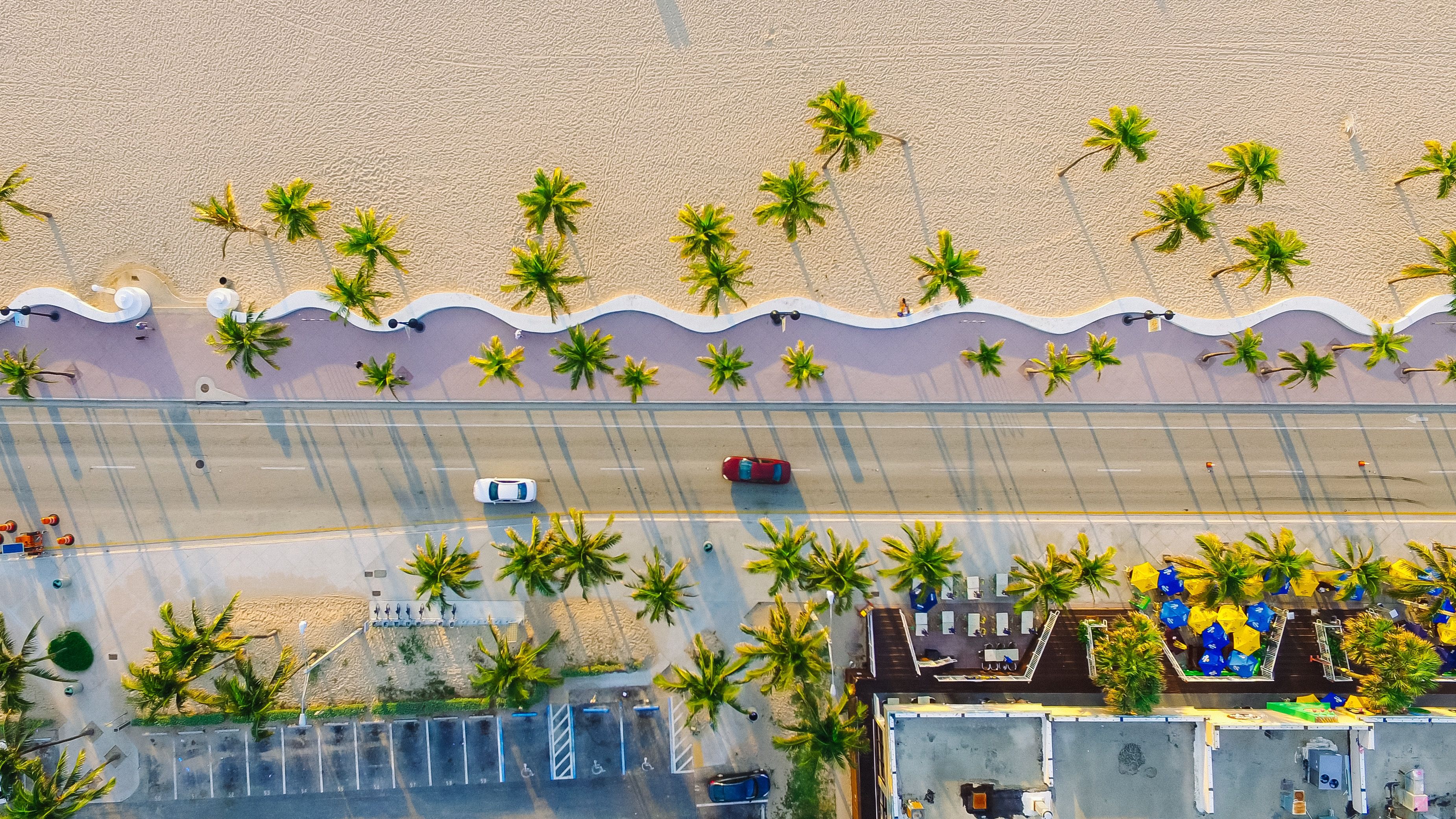 An aerial view of a beach lined up with palm trees and a road with two cars in Miami