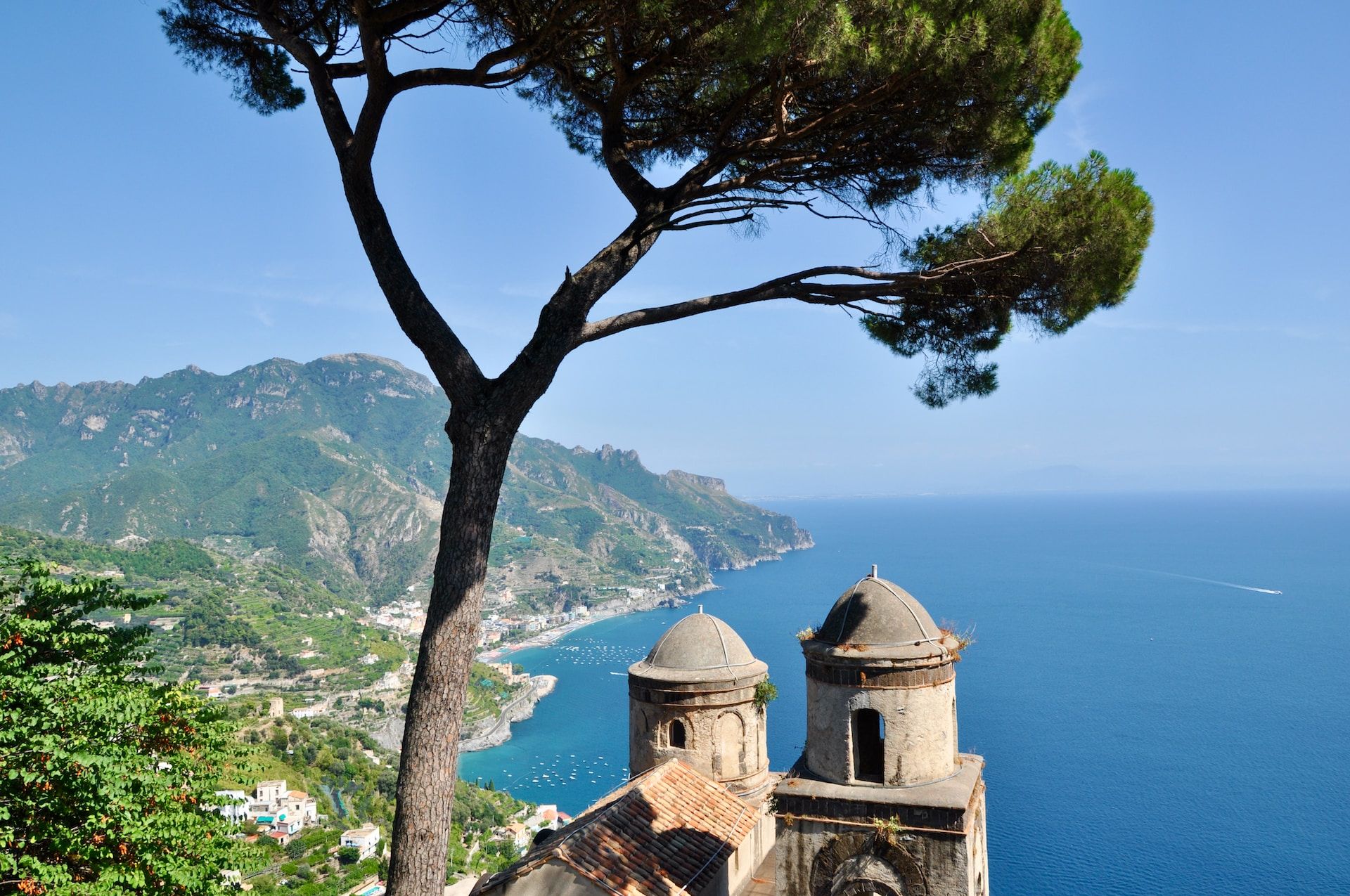 Beautiful tree in front of the Amalfi Coastline
