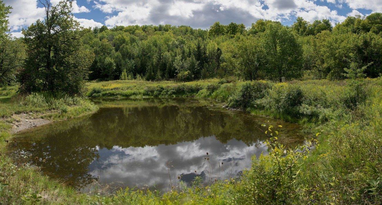 Macaulay Mountain Nature Preserve in Picton in Prince Edward County, Ontario