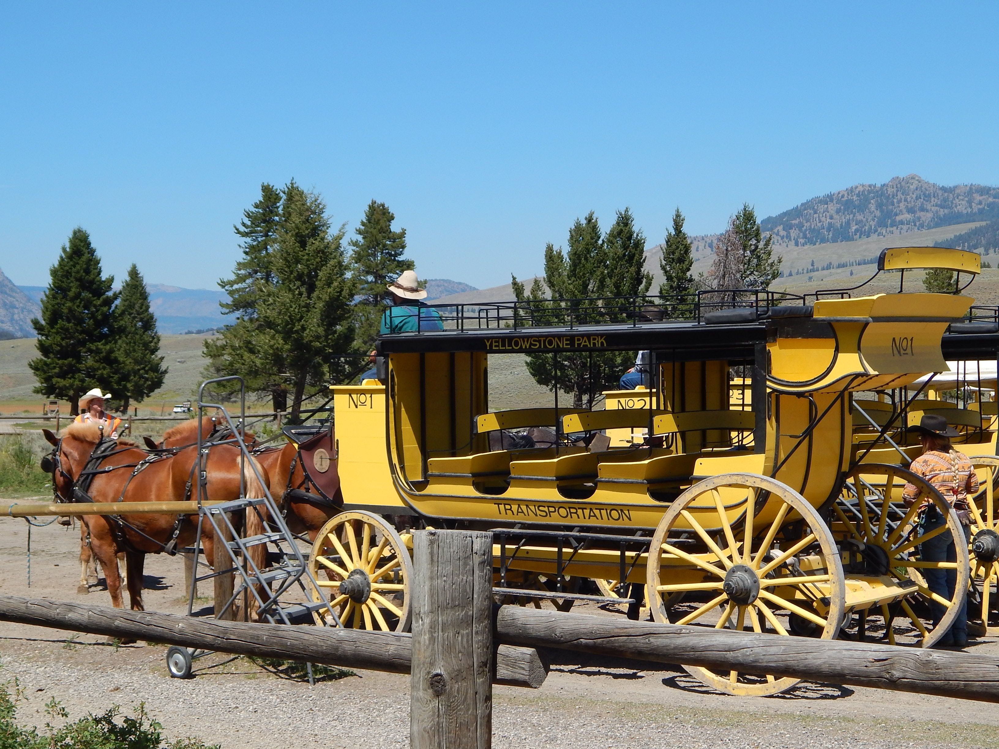 Stagecoach reproduction
