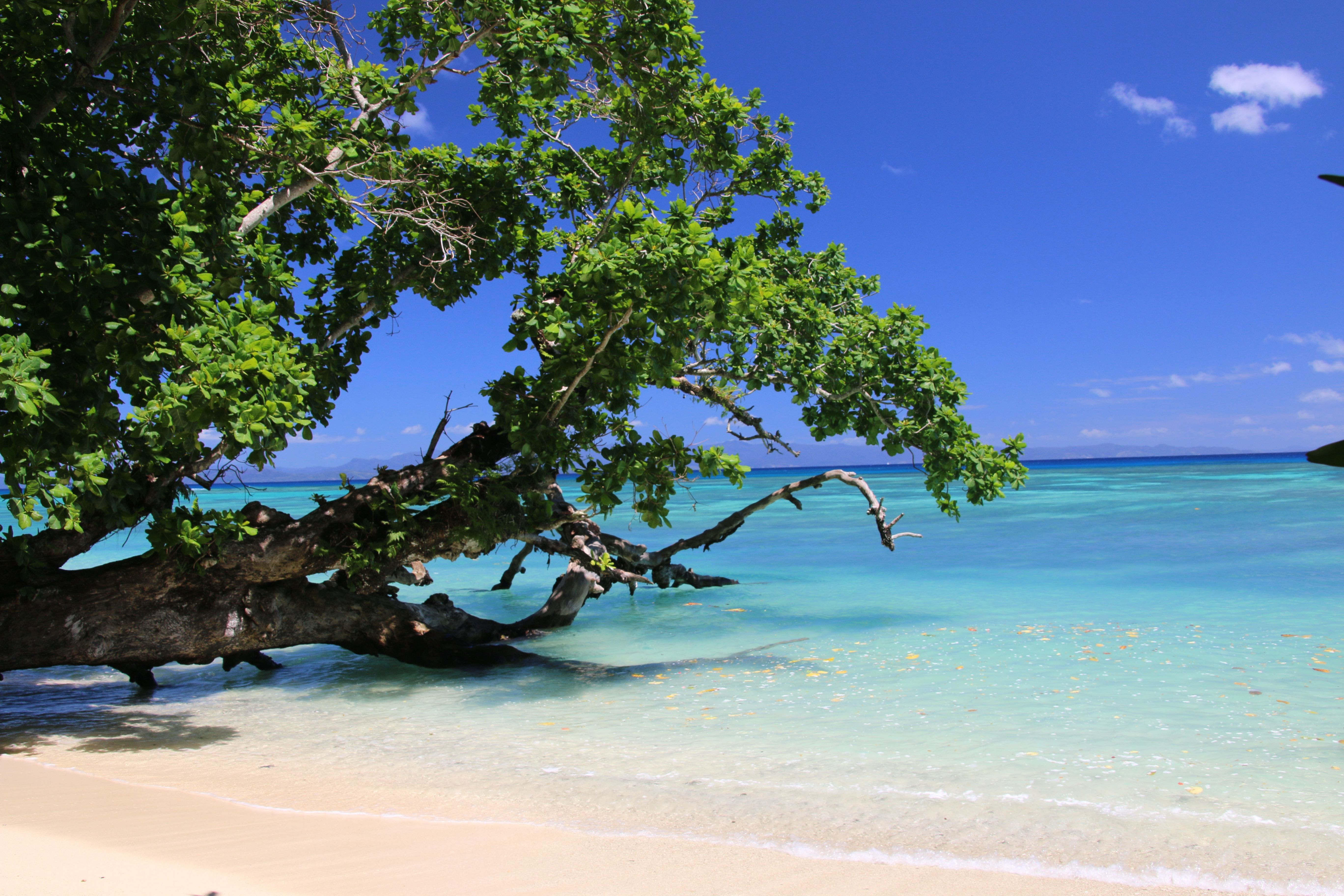 Taveuni Island, Fiji