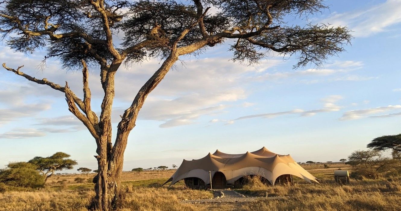 Namiri Plains Safari Tented Camp, Serengeti 