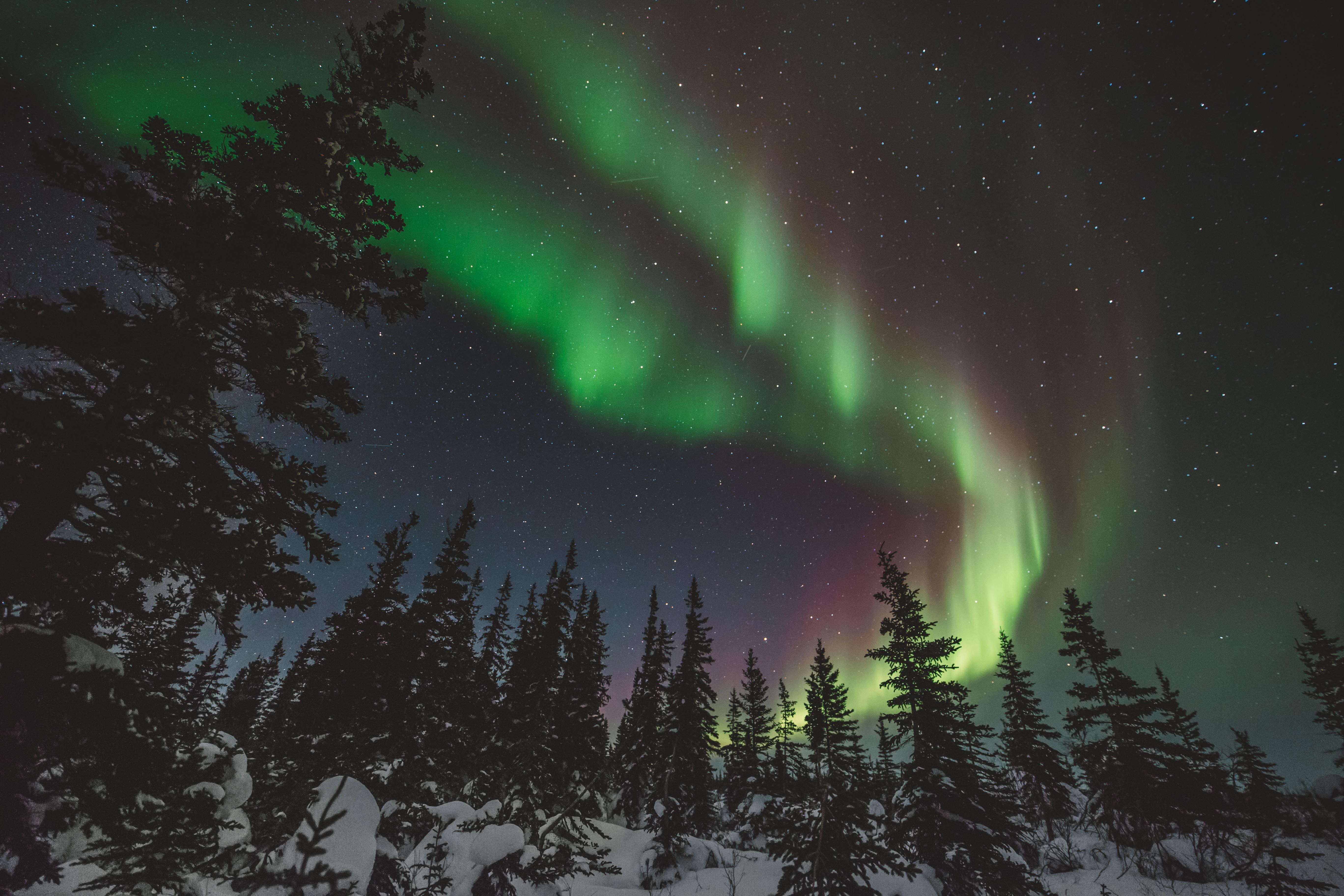 Three Places Travelers Can Be Sure To See Northern Lights In North America