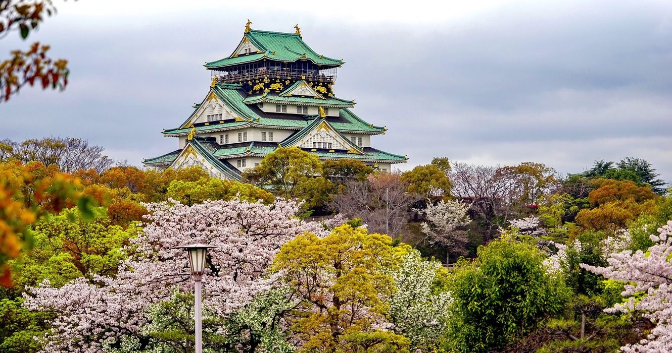 Osaka Castle in spring with cherry blossom trees in bloom, Japan