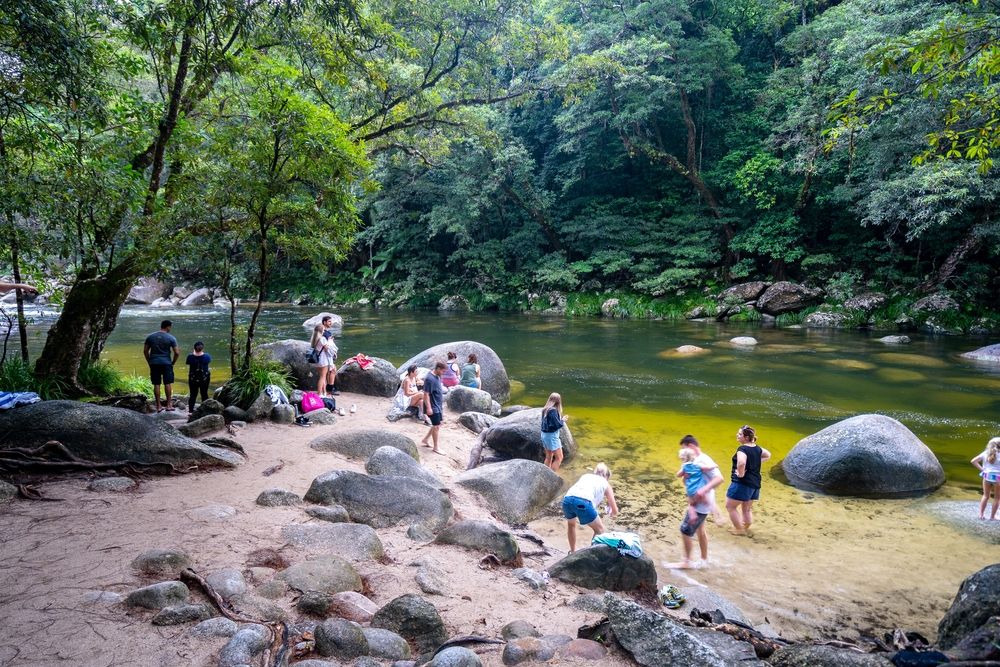 You Can Visit The Daintree Rainforest Without A Tour Guide, And Here's