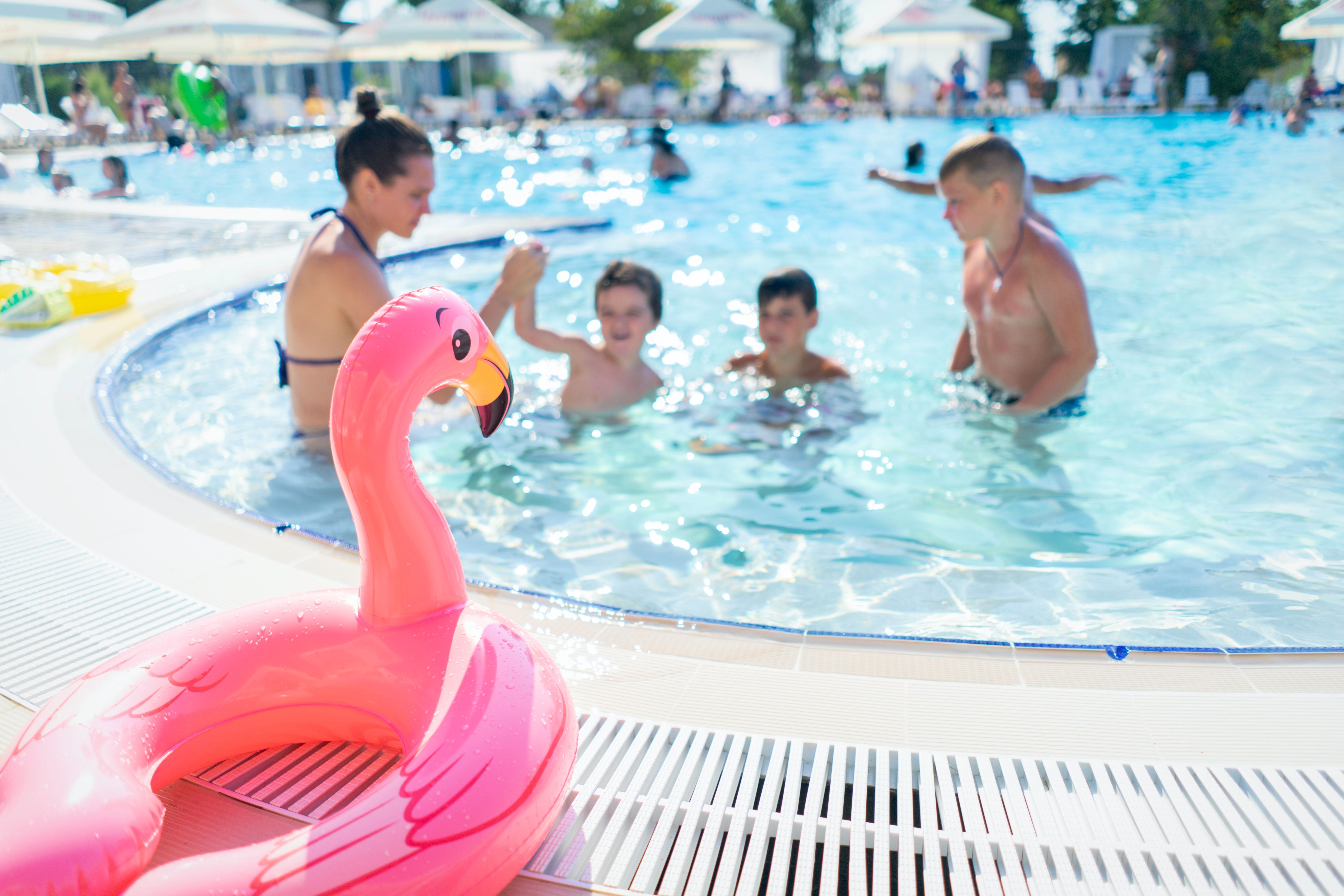 flutuador de flamingo rosa perto de pessoas em uma piscina