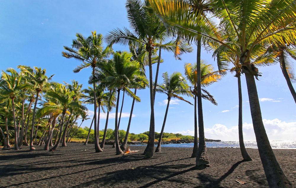 Punalu'u Black Sand Beach, Big Island of Hawaii
