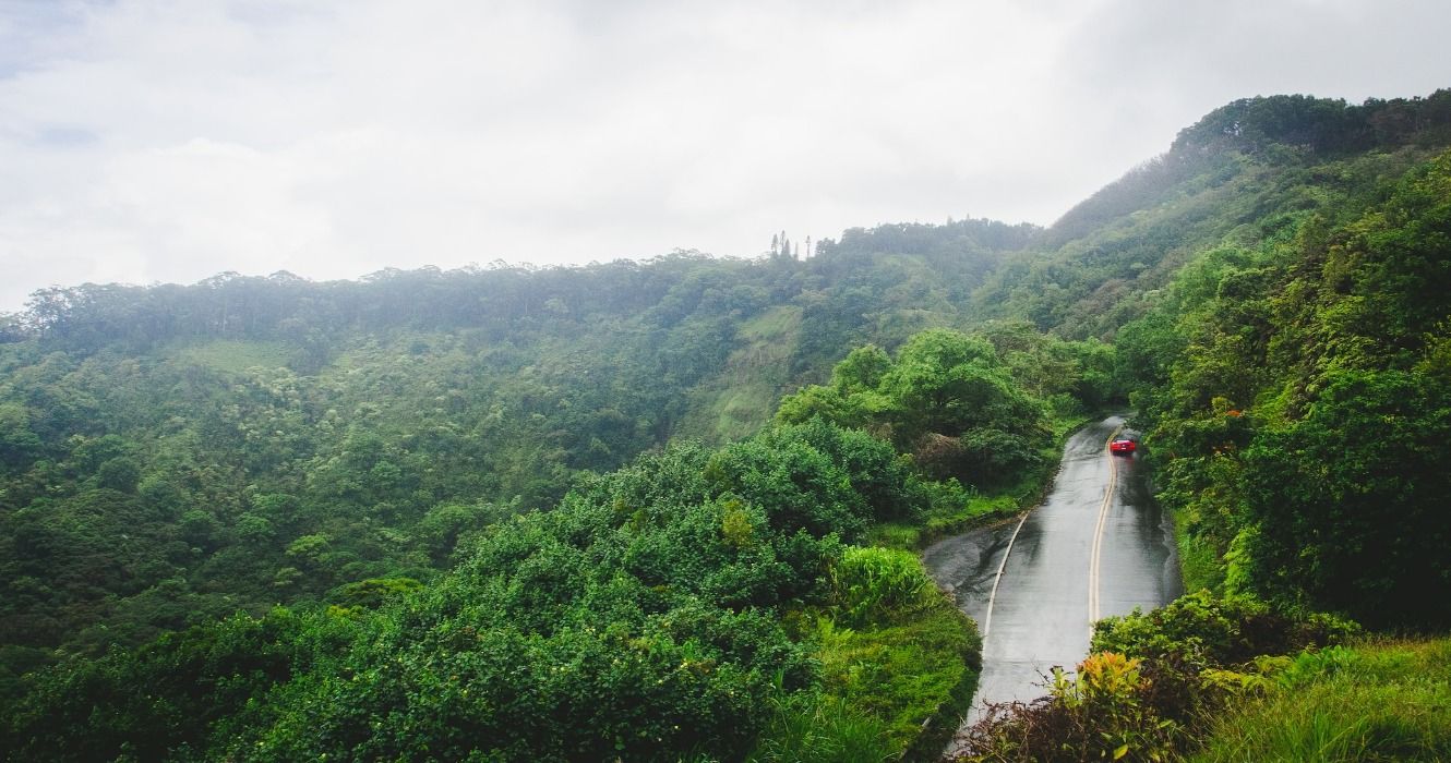 The Road to Hana (the Hana Highway), a popular hiking area in Maui, Hawaii