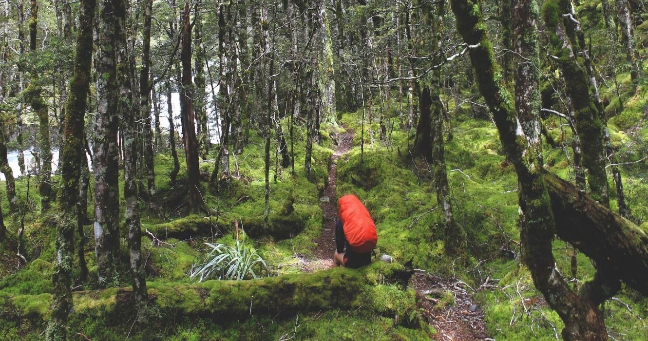 A backpacker hiking on the trails in the forests 