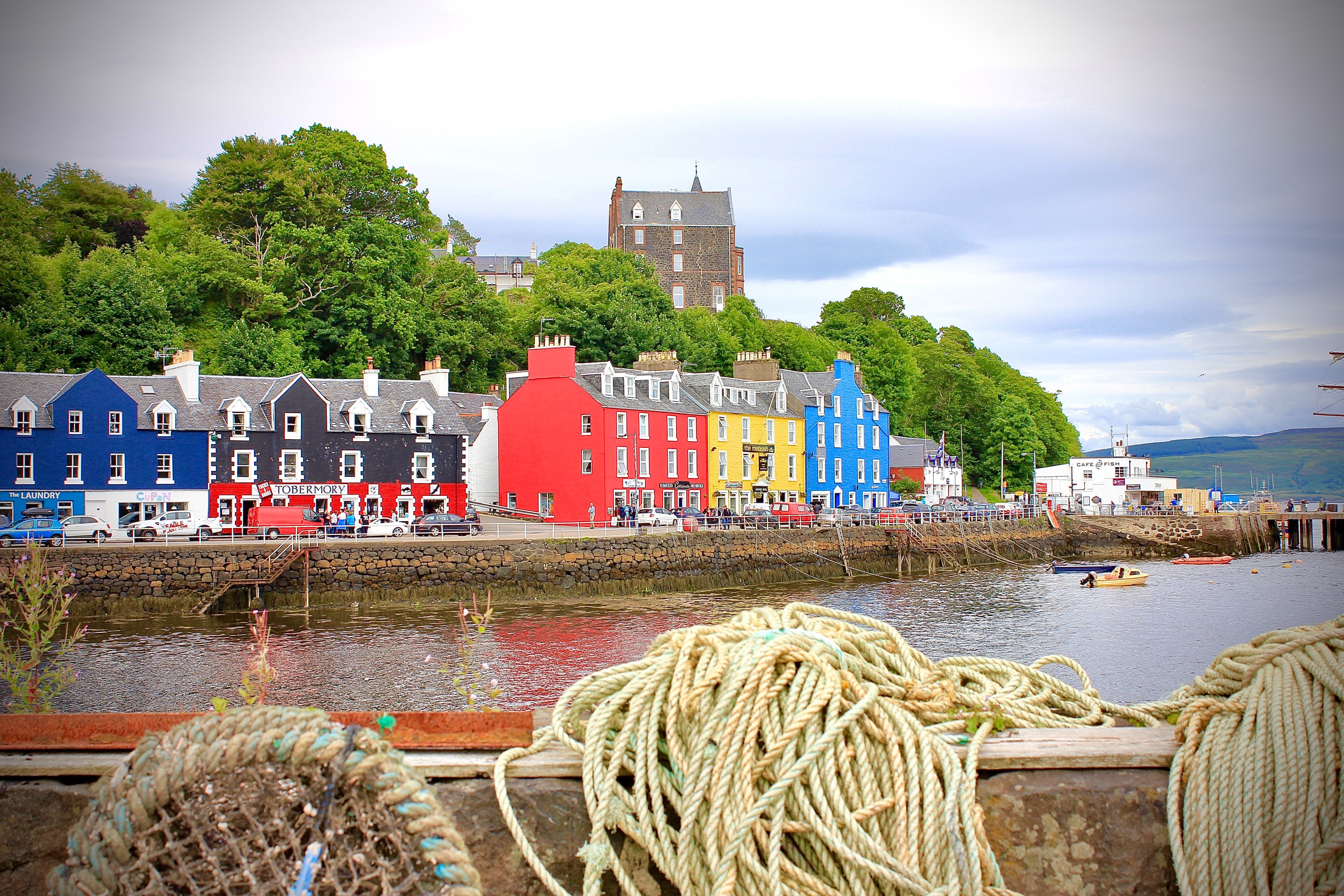 Trees behind colorful buildings in front of a water body in Oban Scotland