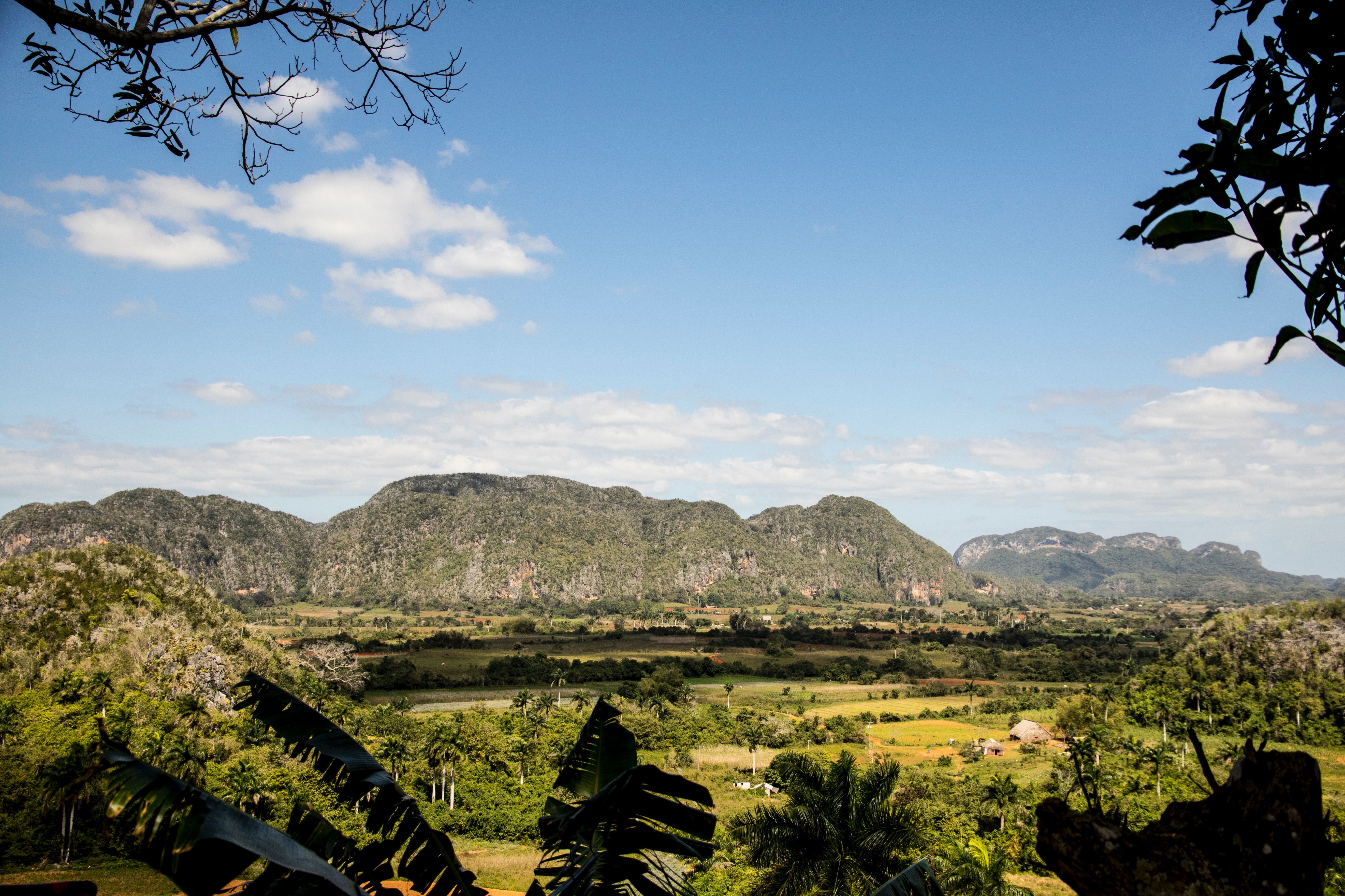 Lush greenery in the Vinales Valley