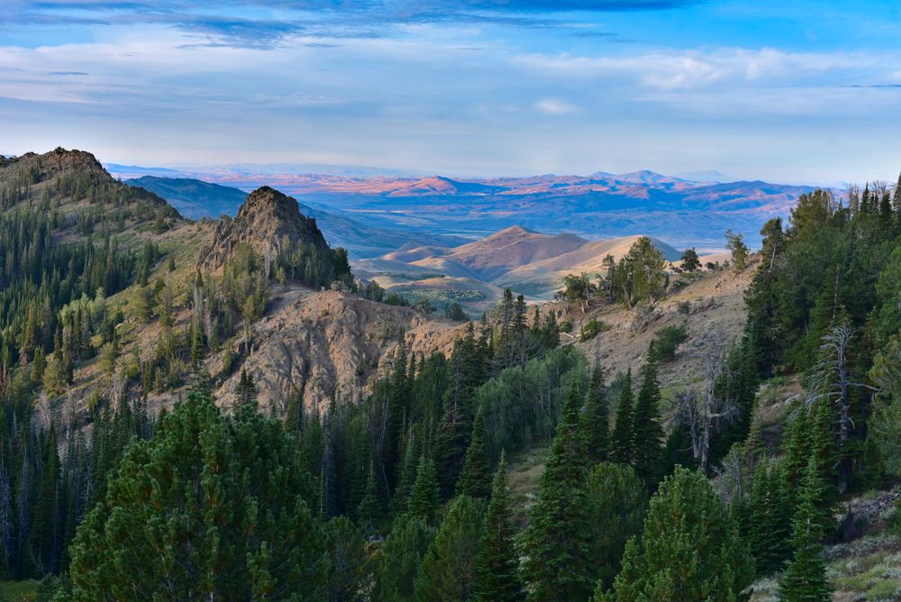 The mountains and forests of the Jarbidge Wilderness Area near Jarbidge Ghost Town, Nevada, USA