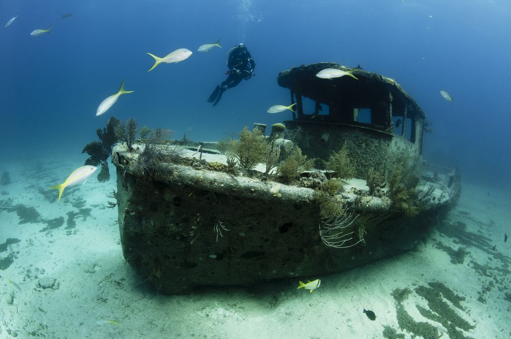 Shipwreck in the Bahamas