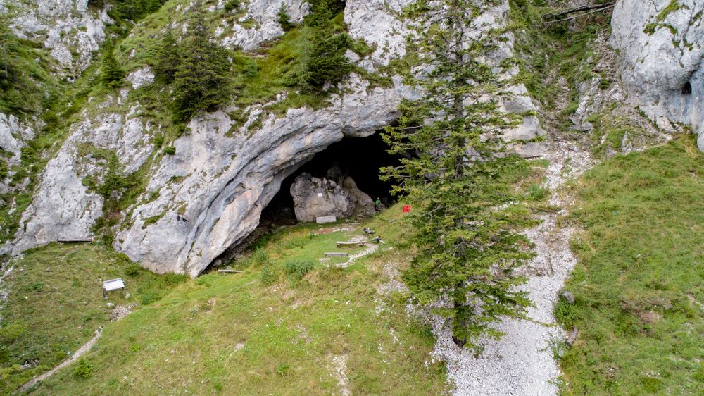Potok Cave in northern Slovenia, a high-elevation archeological and paleontological from Paleolithic
