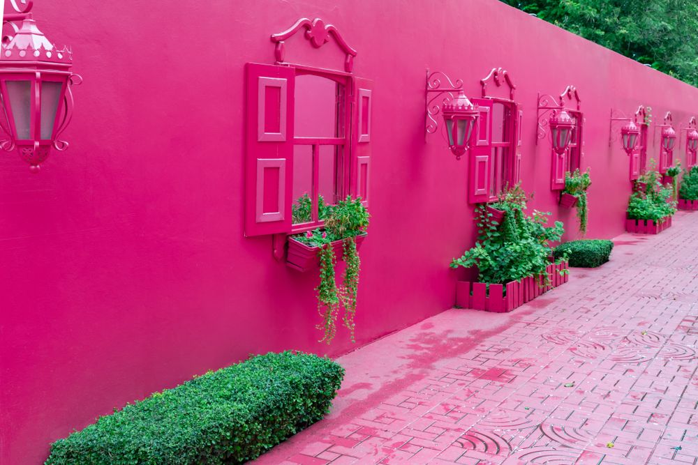 Pink street 