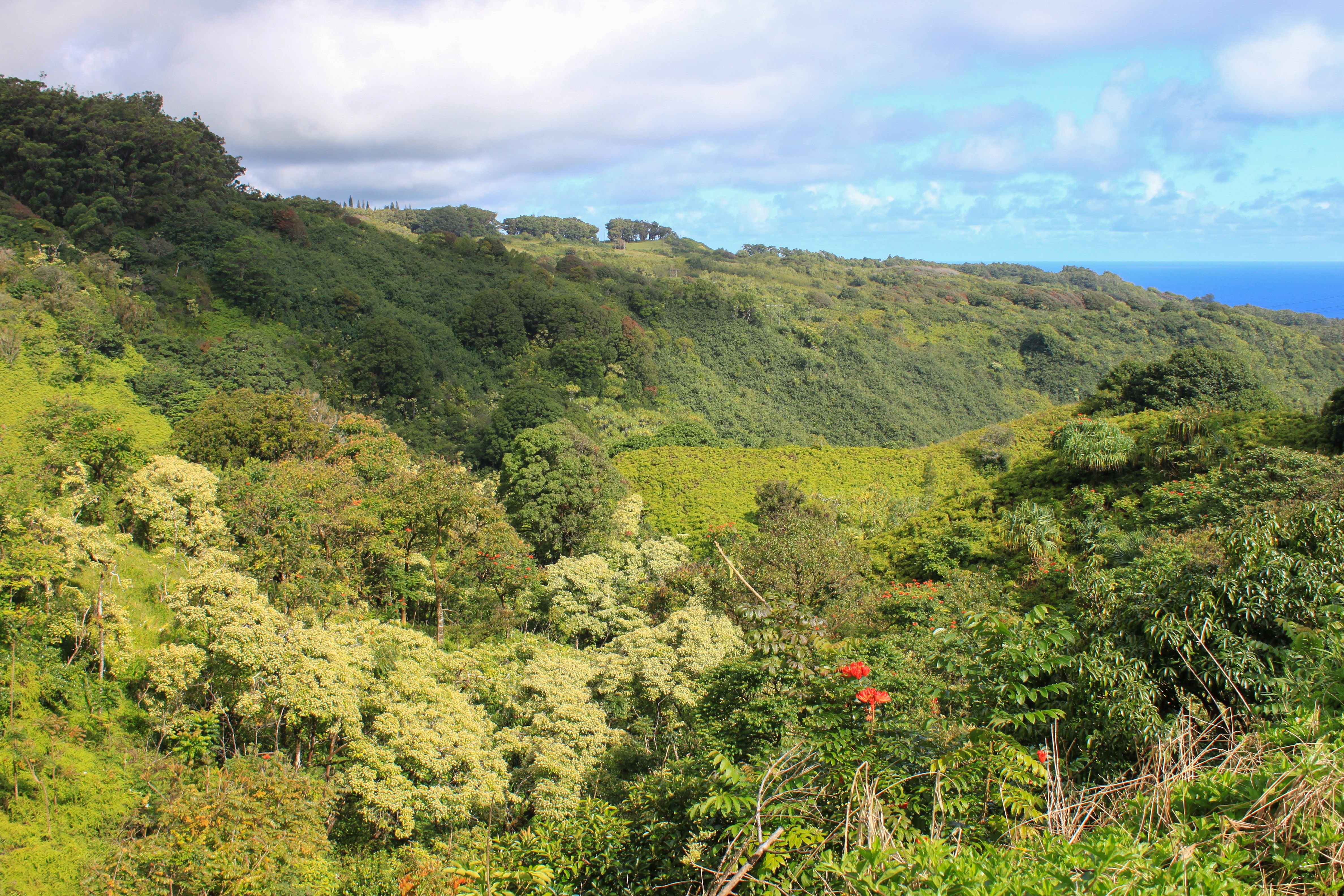 Garden Eden, Maui, Hawaii