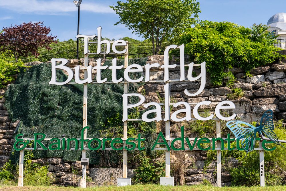 Butterfly Palace, Branson