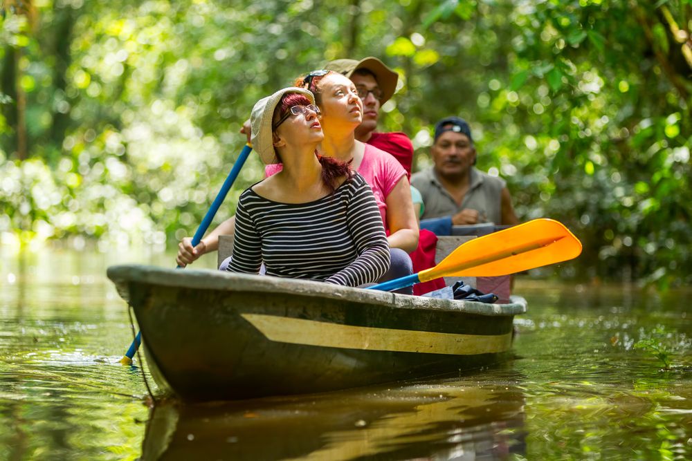 Tourists spotting wildlife in Amazon rainforest