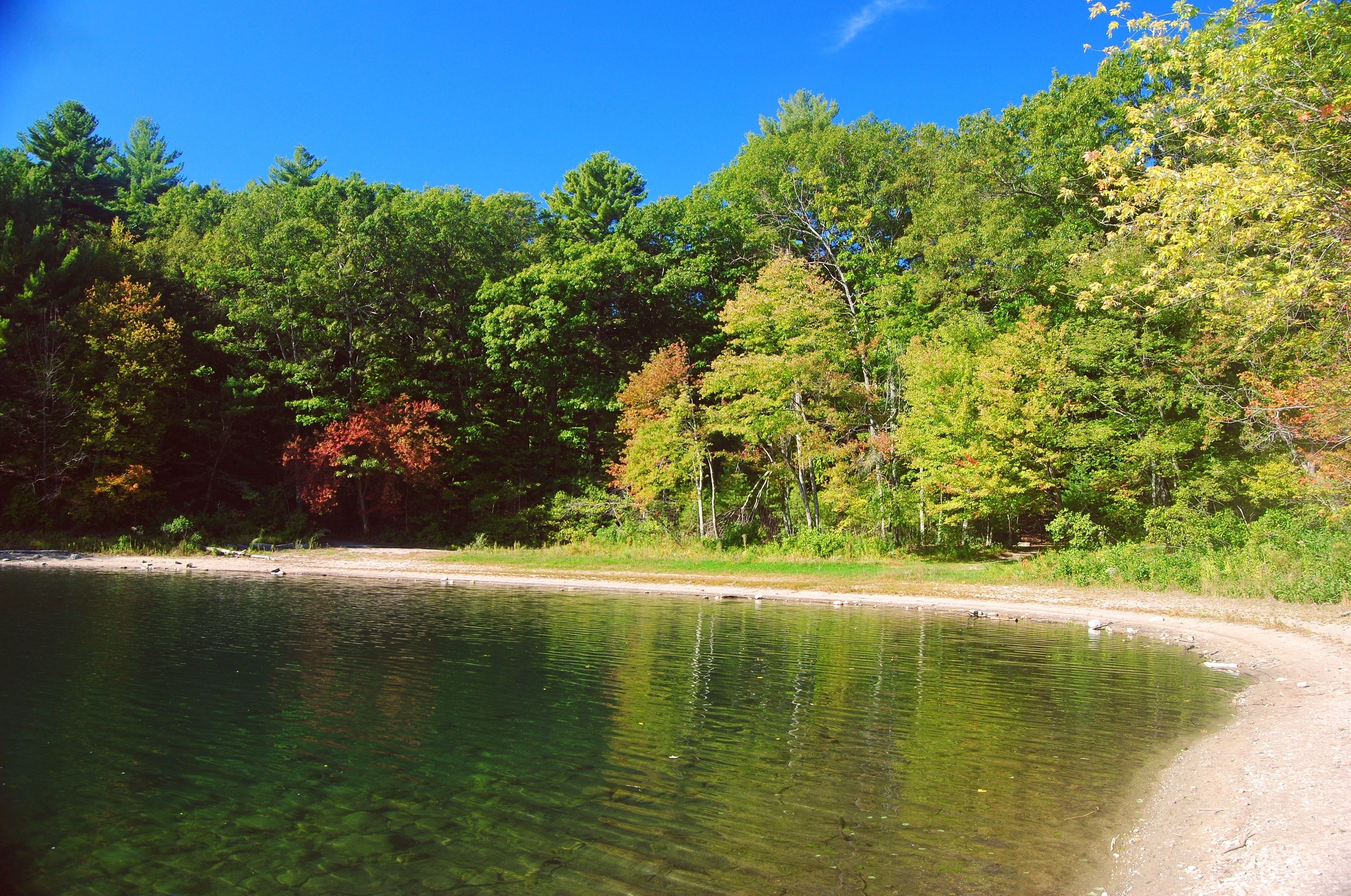 Crystal clear waters of Walden Pond in Concord, Massachusetts, USA.