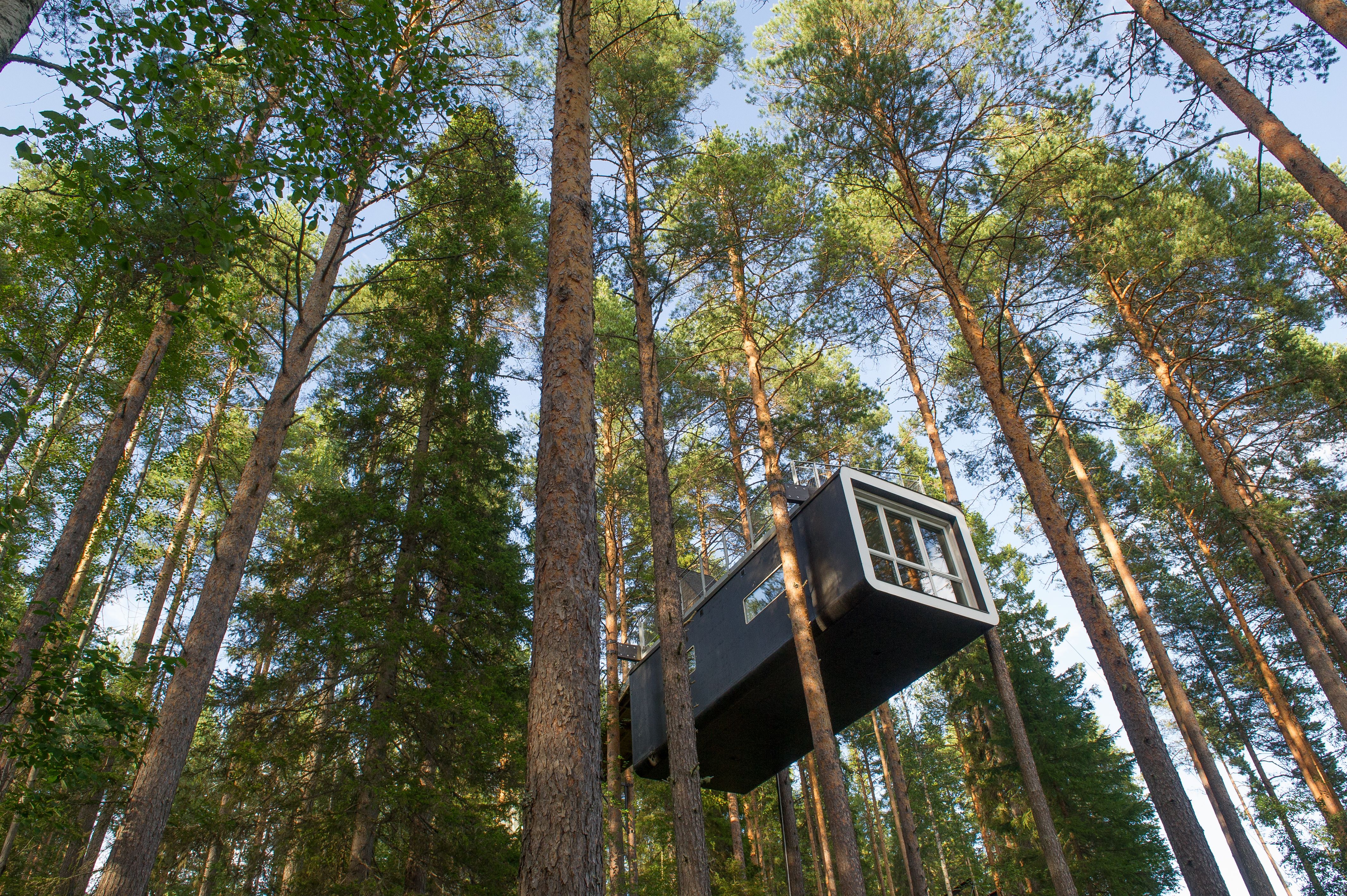 Arctic Treehouse Hotel, Finland 
