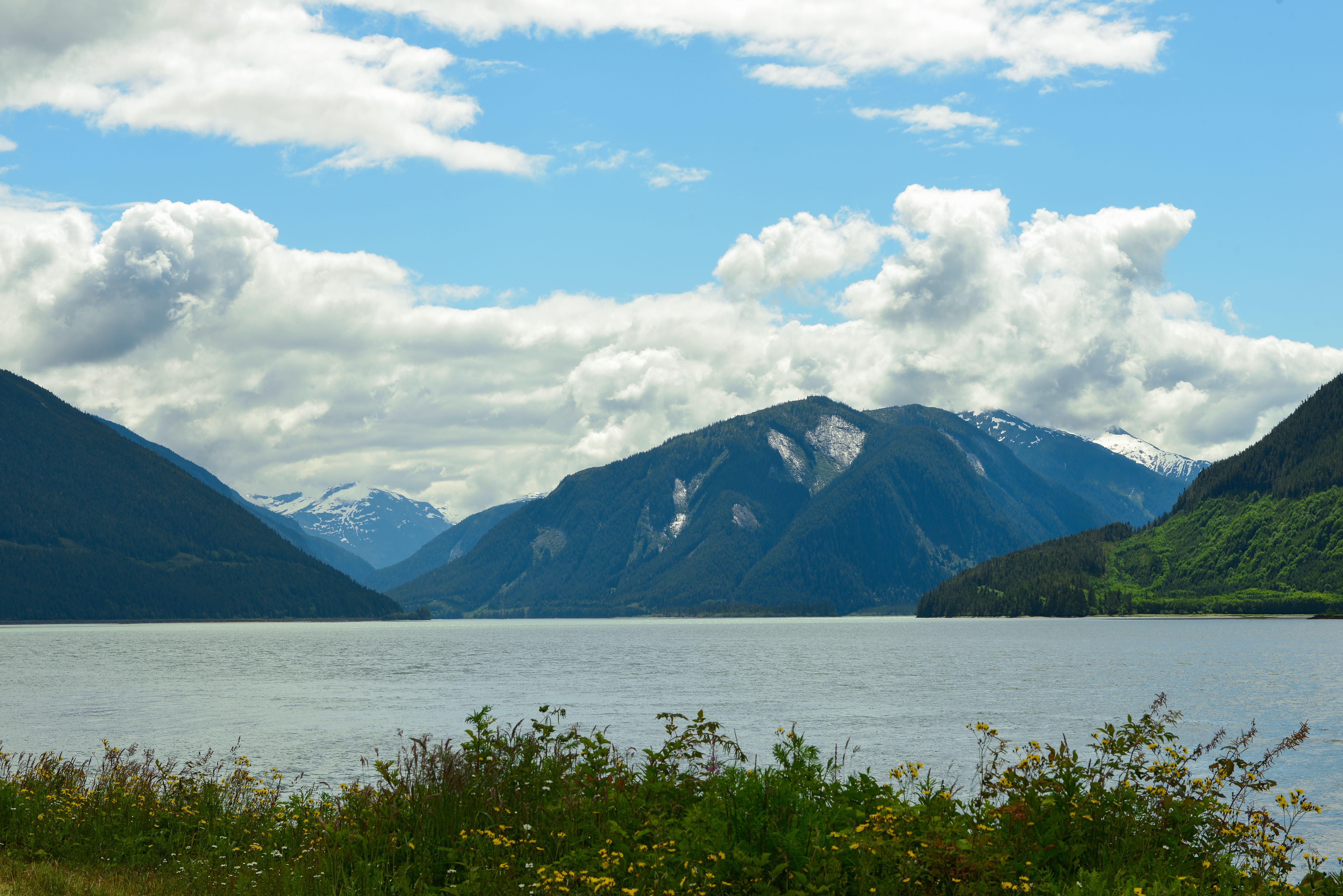 The Skeena river with mountains in the background in British Columbia, Canada.