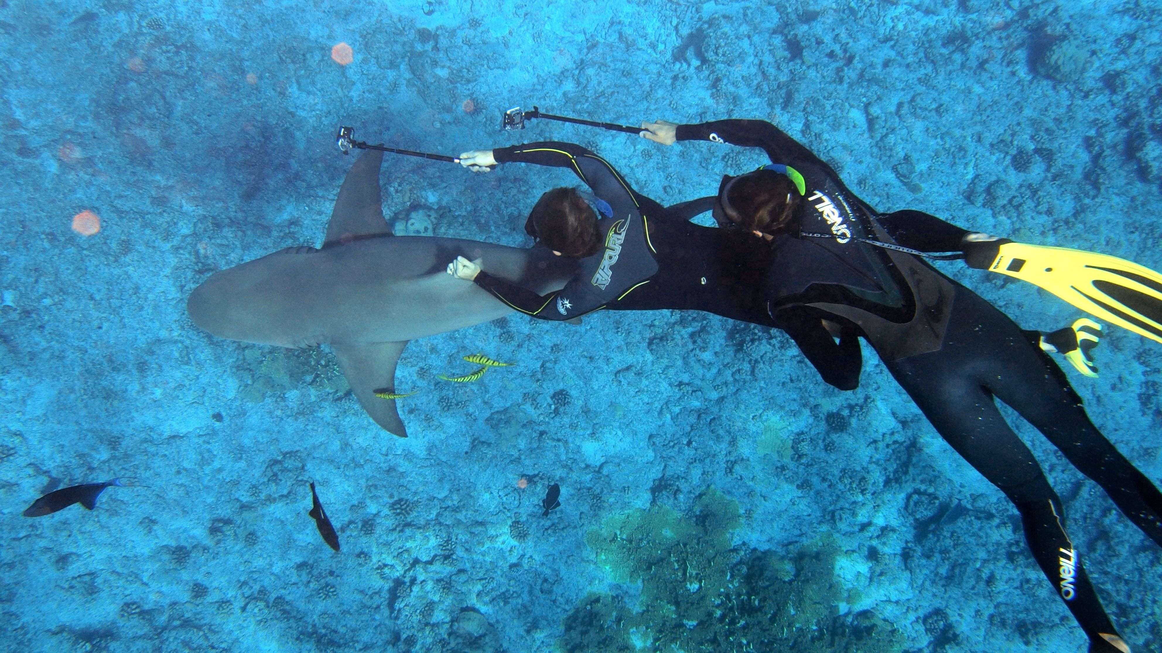 Snorkeling in Bora Bora French Polynesia