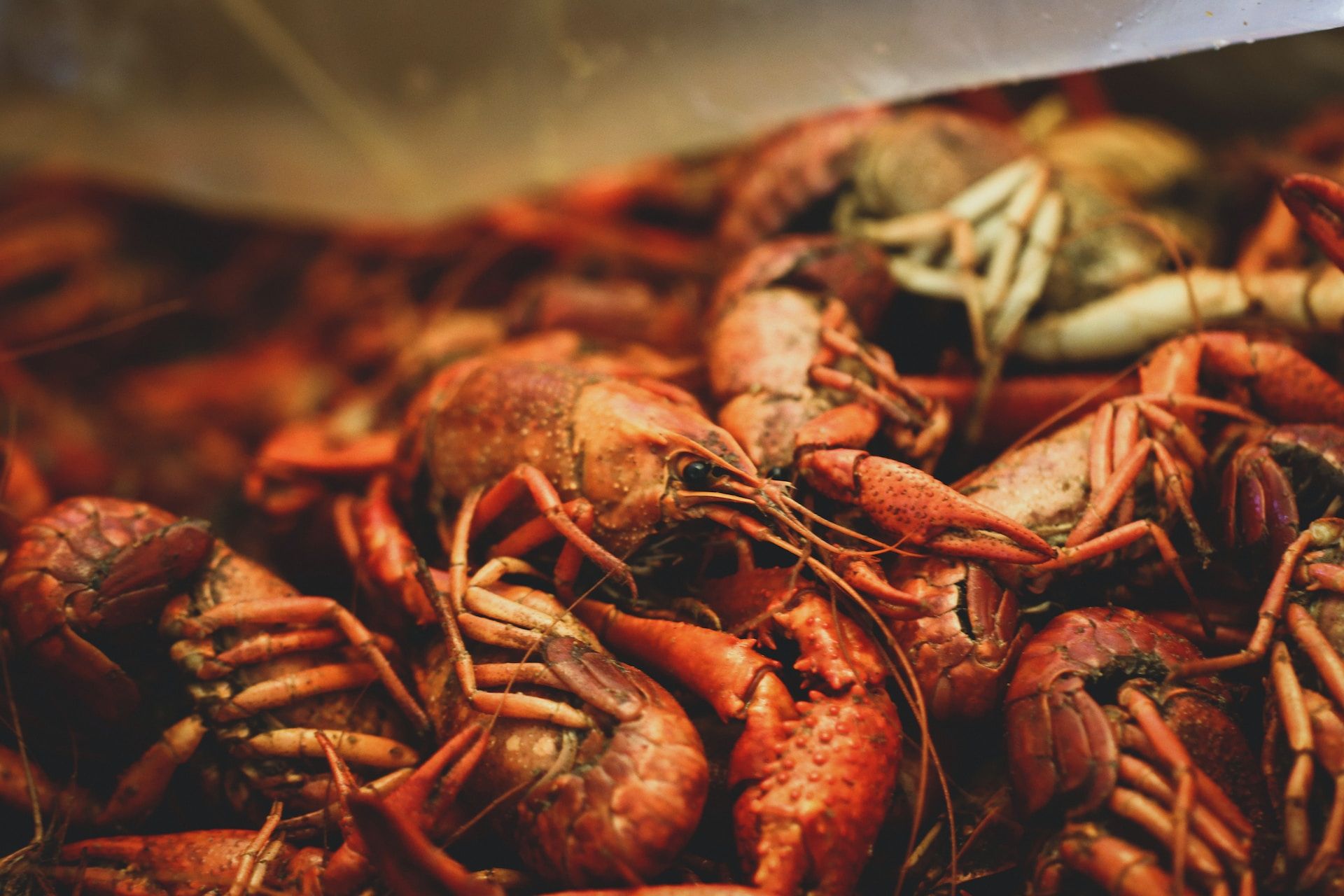Louisiana crawfish boil