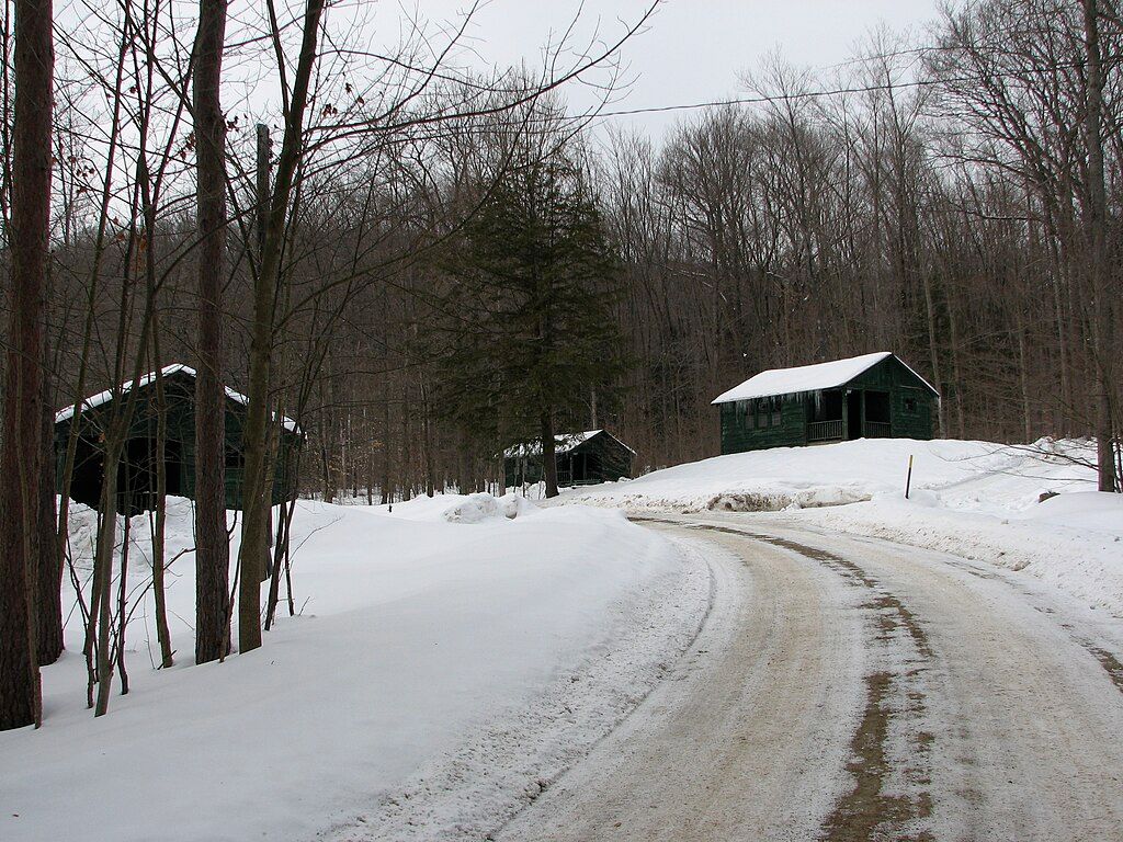 View of Sugarbush cabins at Allegany State Park, USA