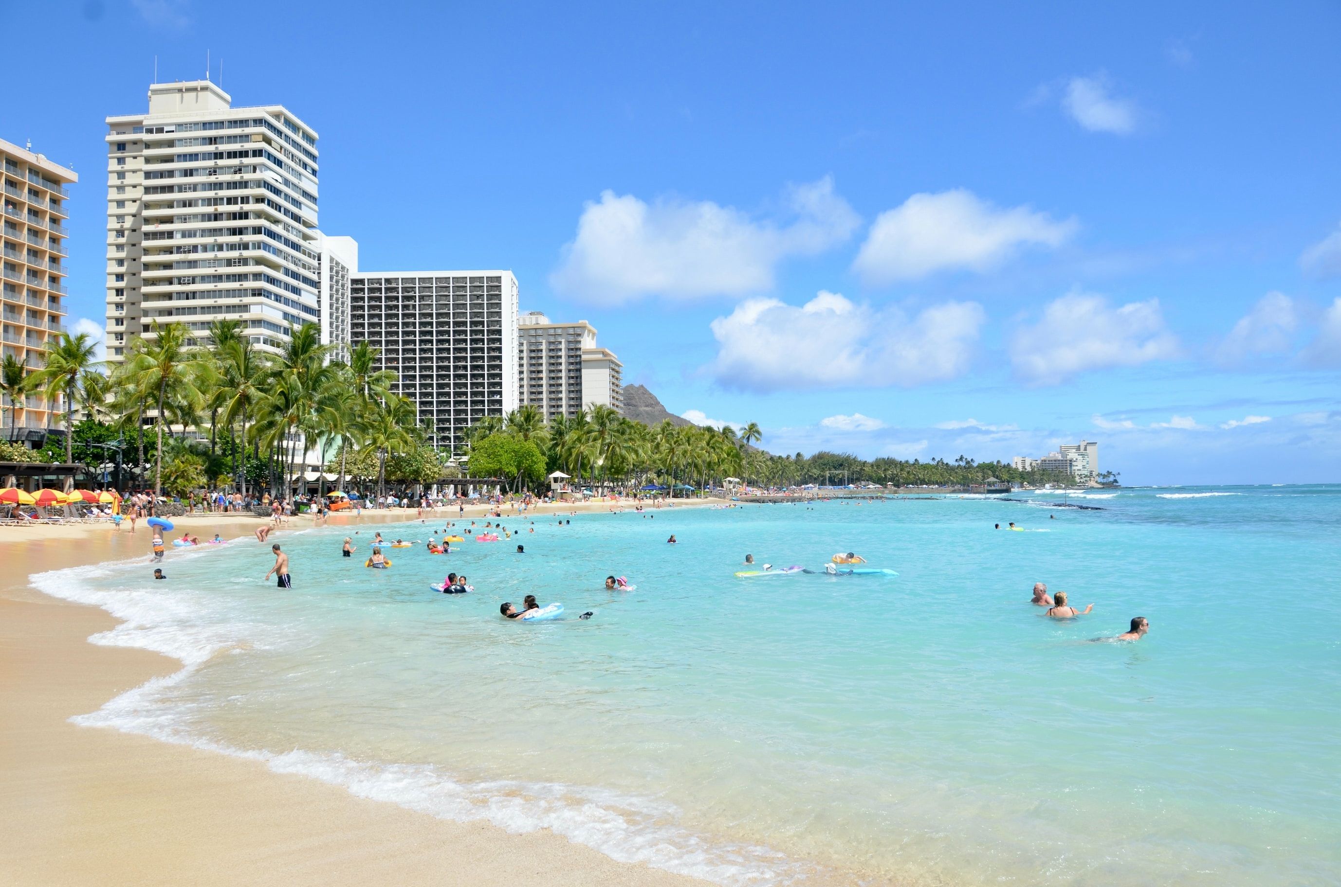 10 Affordable Yet Highly Rated Honolulu Resorts Where You Can Enjoy ...