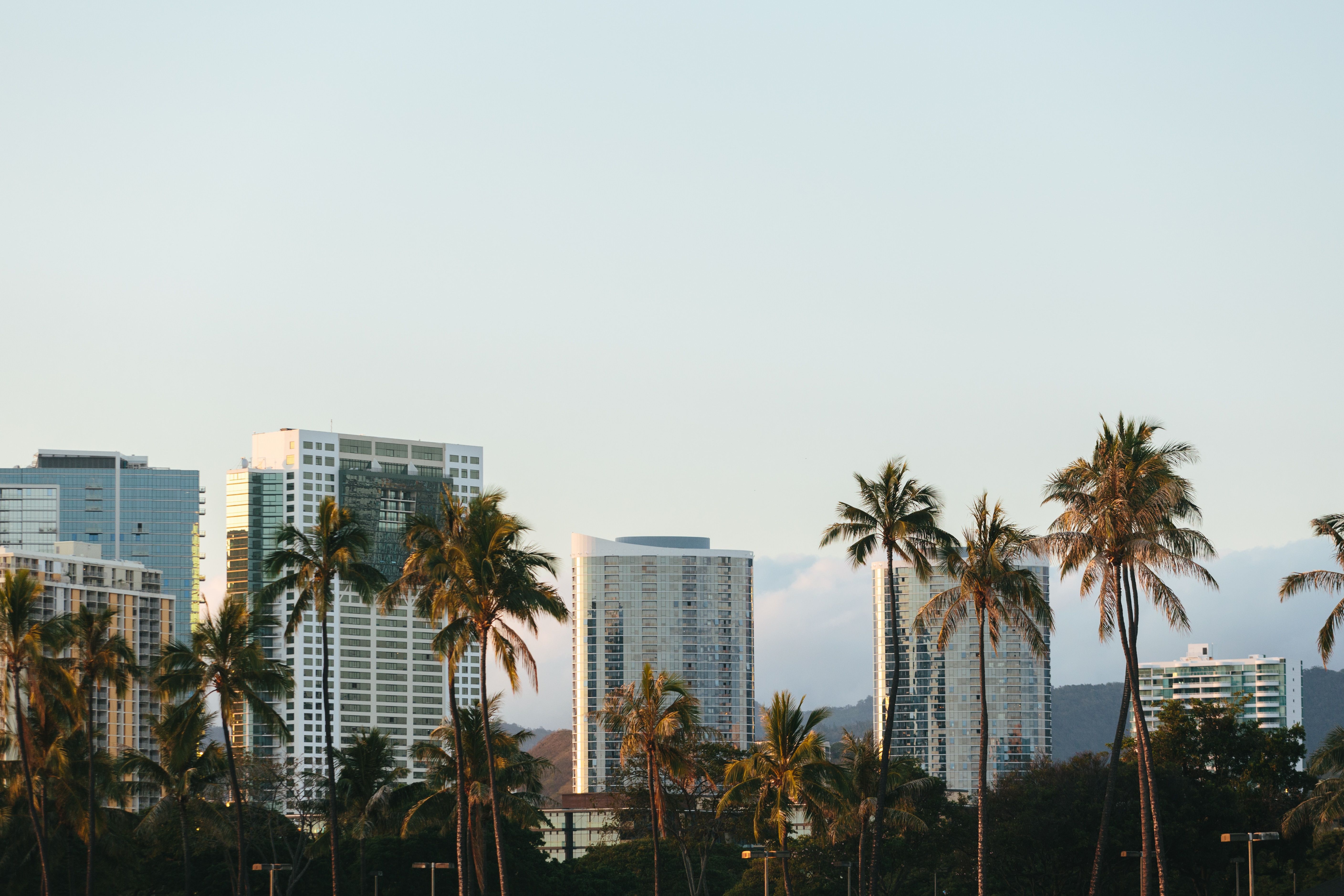 Zillow Honolulu Hawaii - 24ifqkm