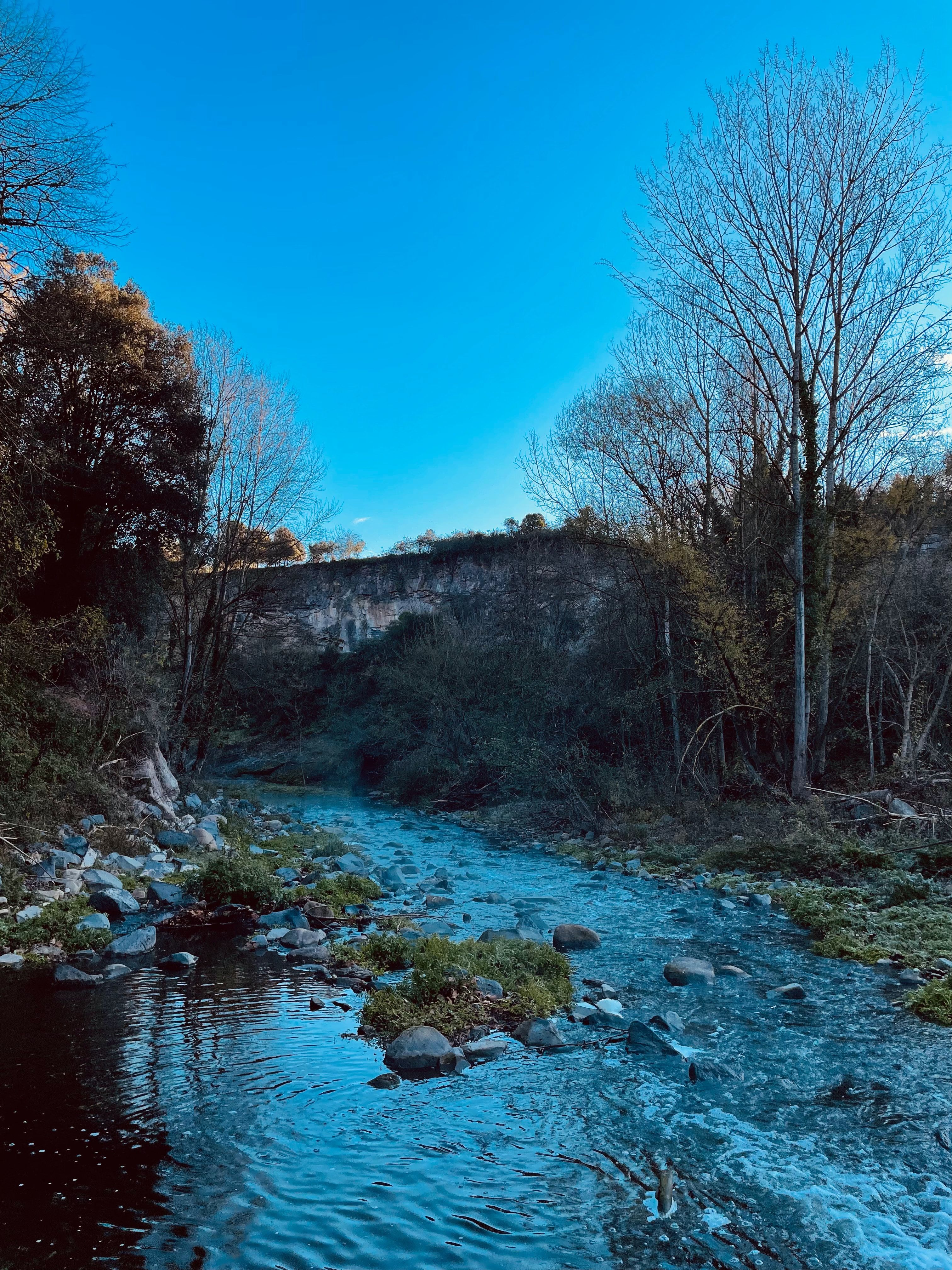 A stream running through La Garrotxa, Spain