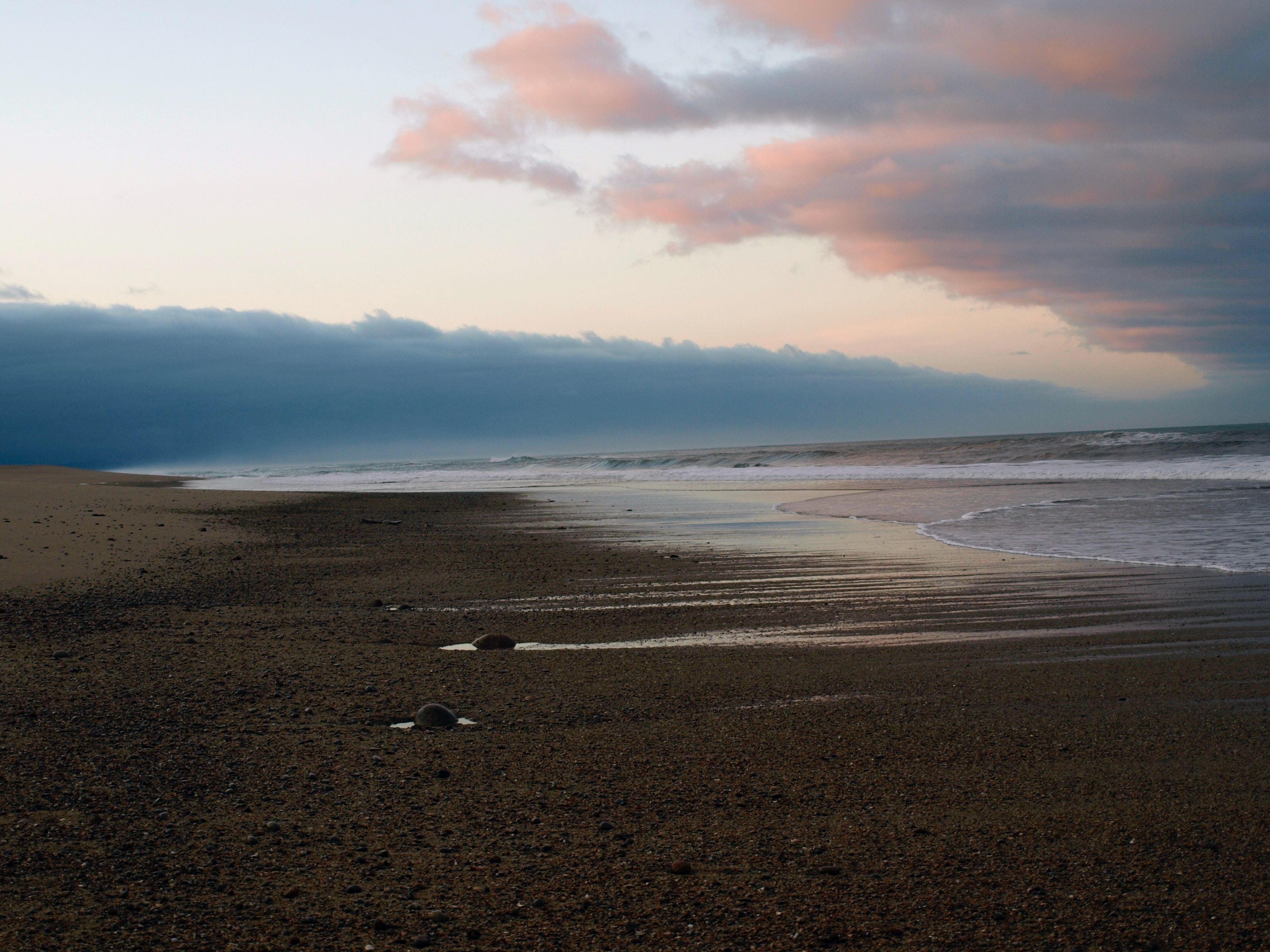 A shoreline and a water body under a cloudy sky in Kahurangi National Park New Zealand