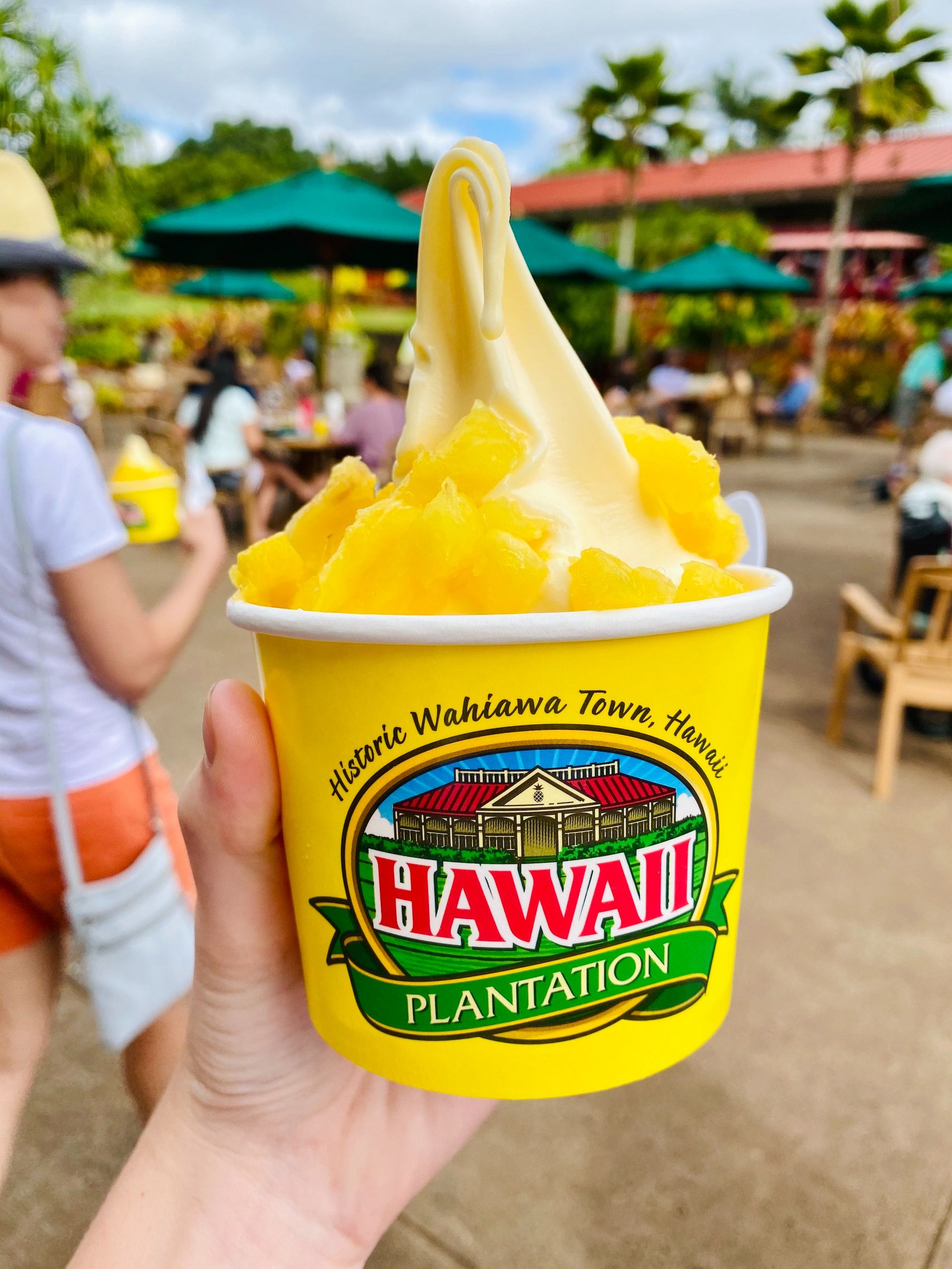 10 Best Pineapple Farms To Visit In Hawaii
