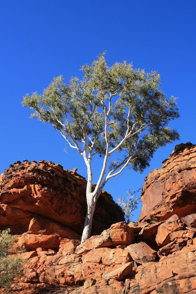 Mount Gillen, NT