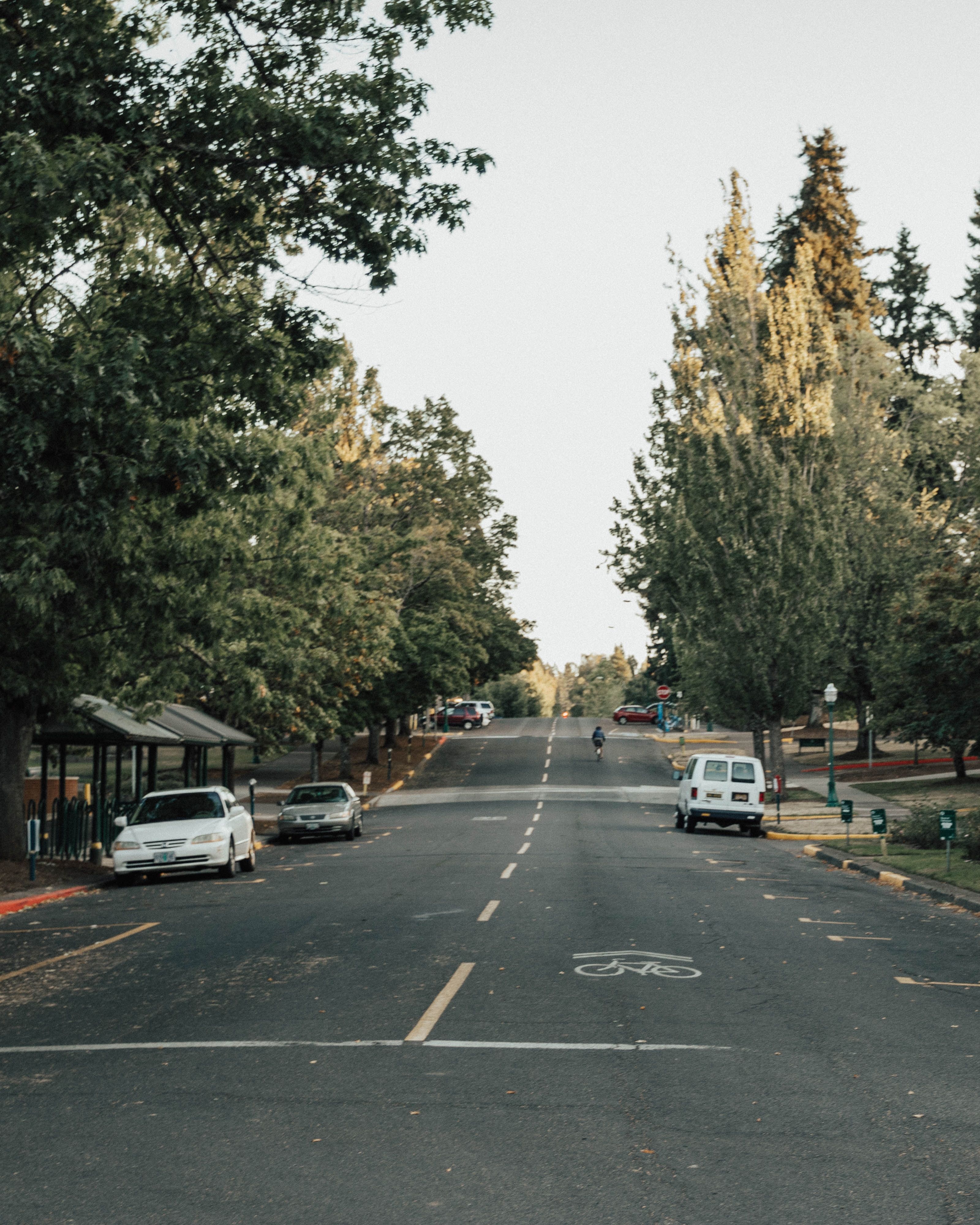 Street in Eugene