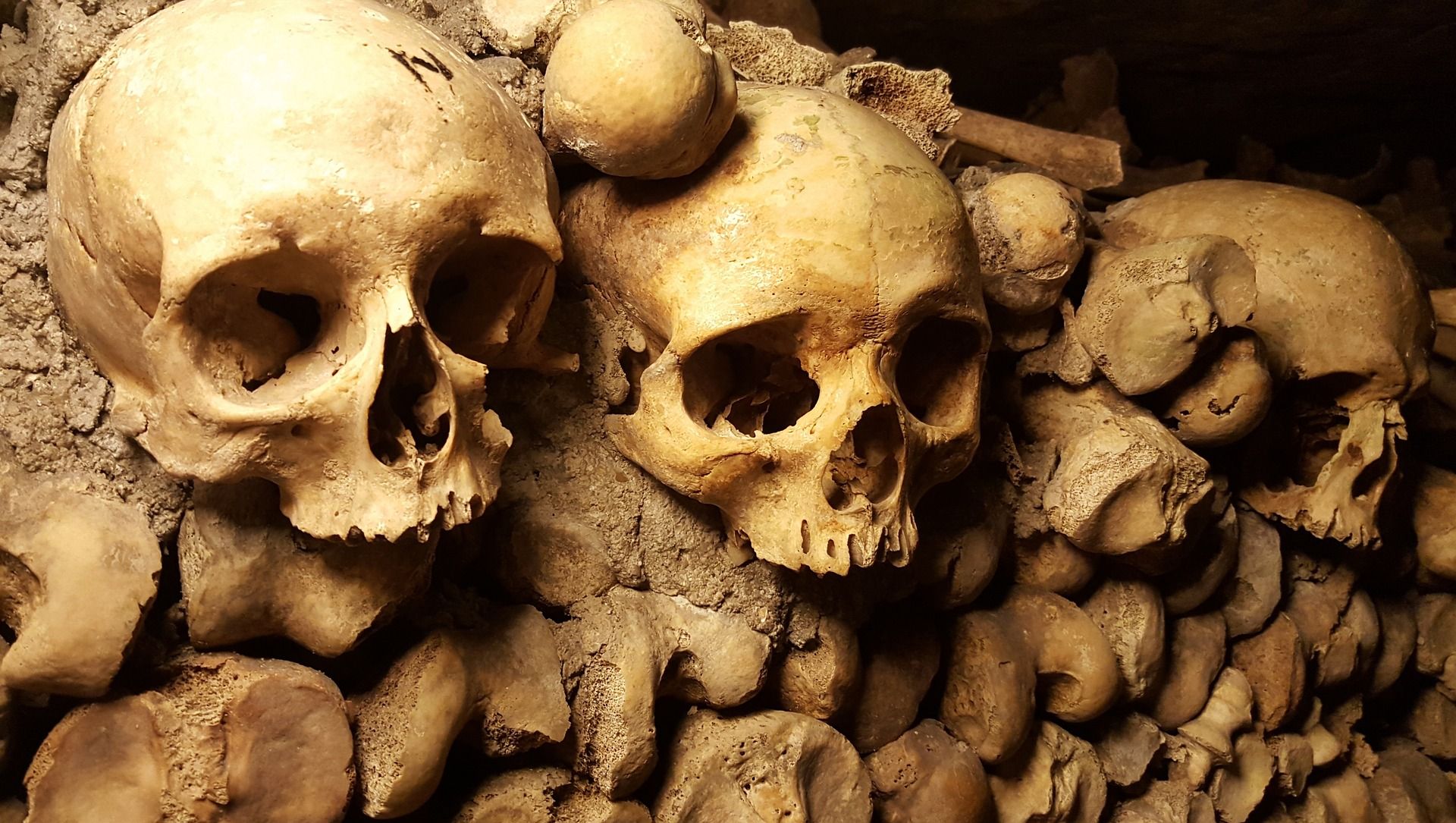 Skeletons in the Paris catacombs
