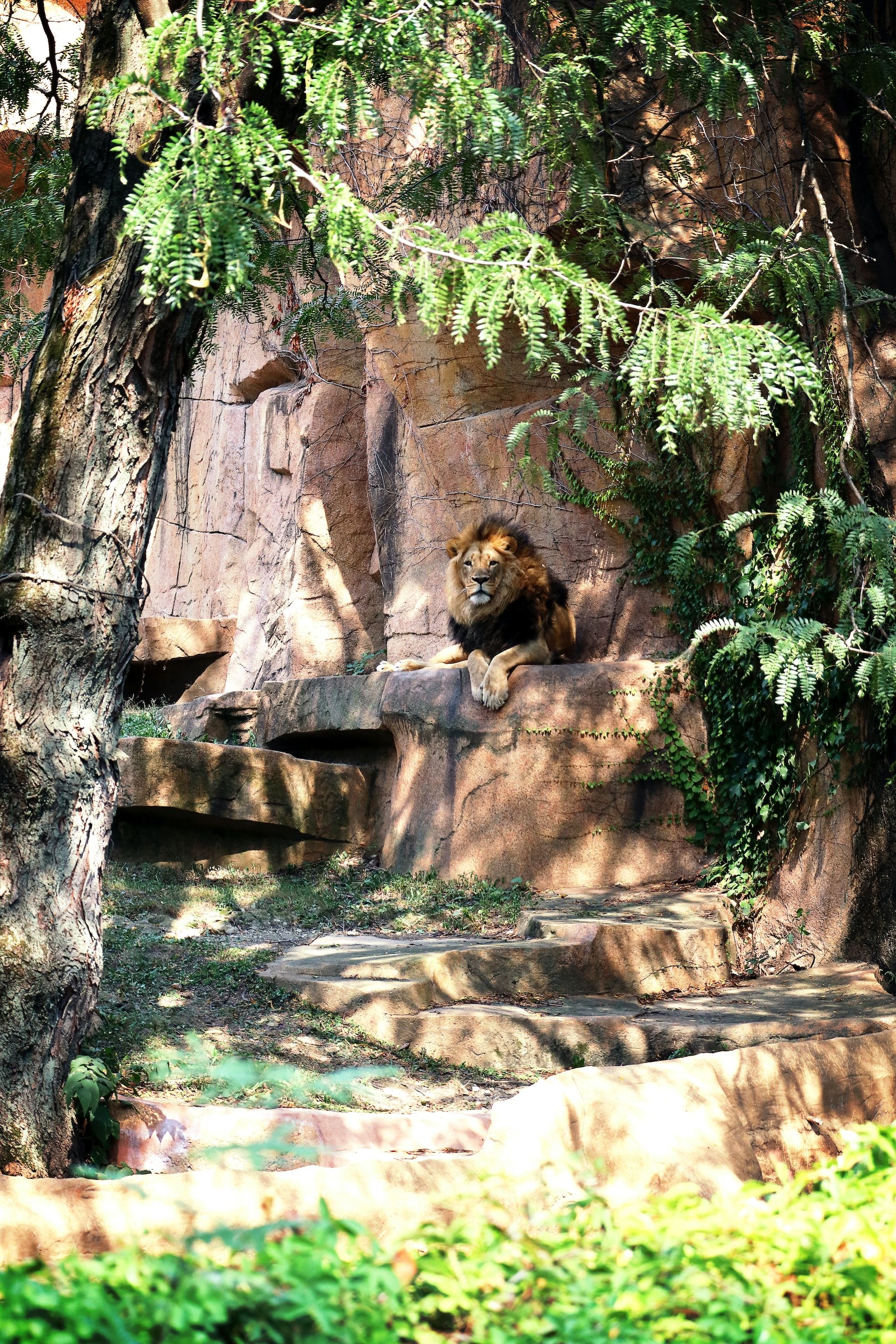 Brookfield Zoo, U.S.