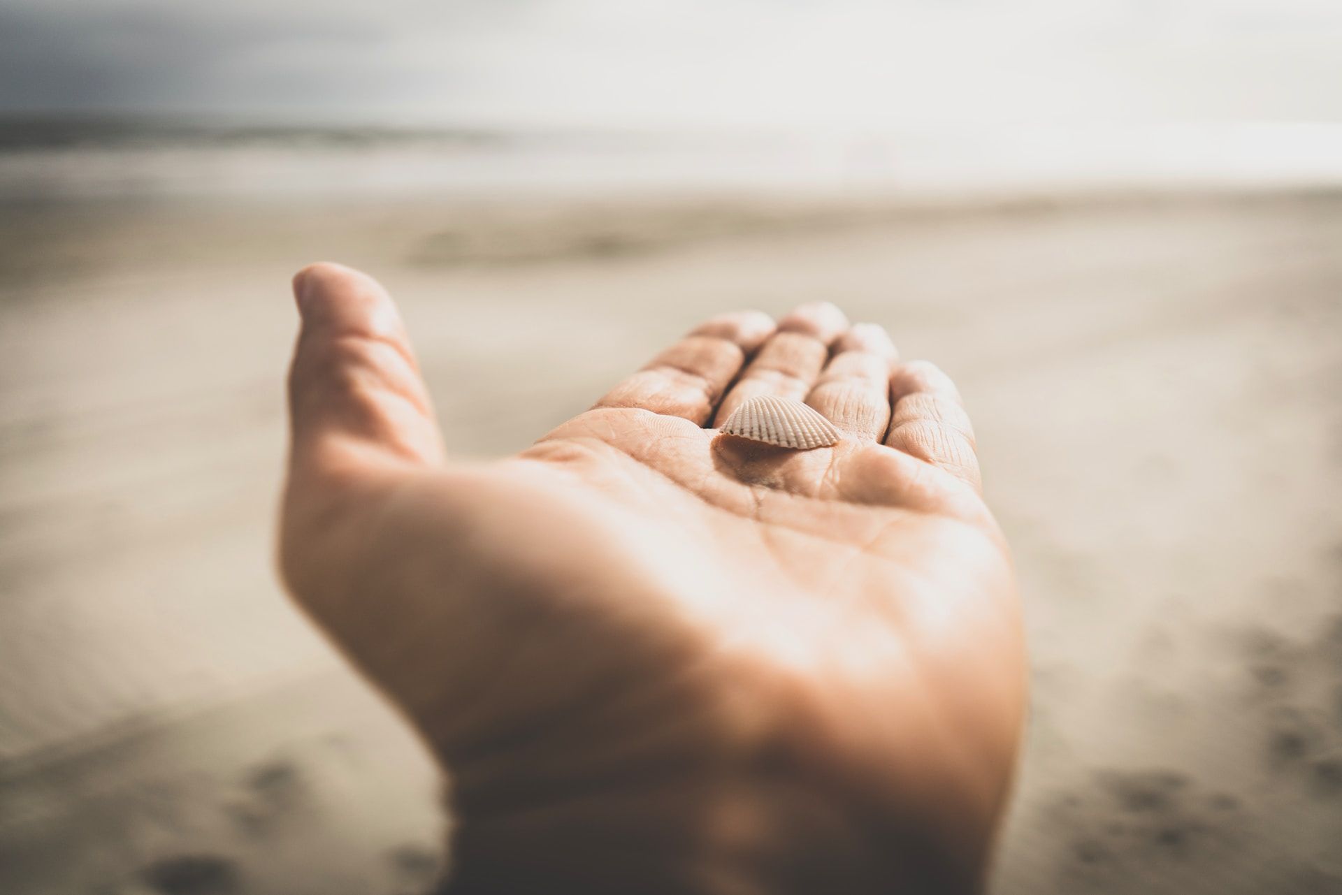 outstreched hand with a sea shell in the palm on a beach