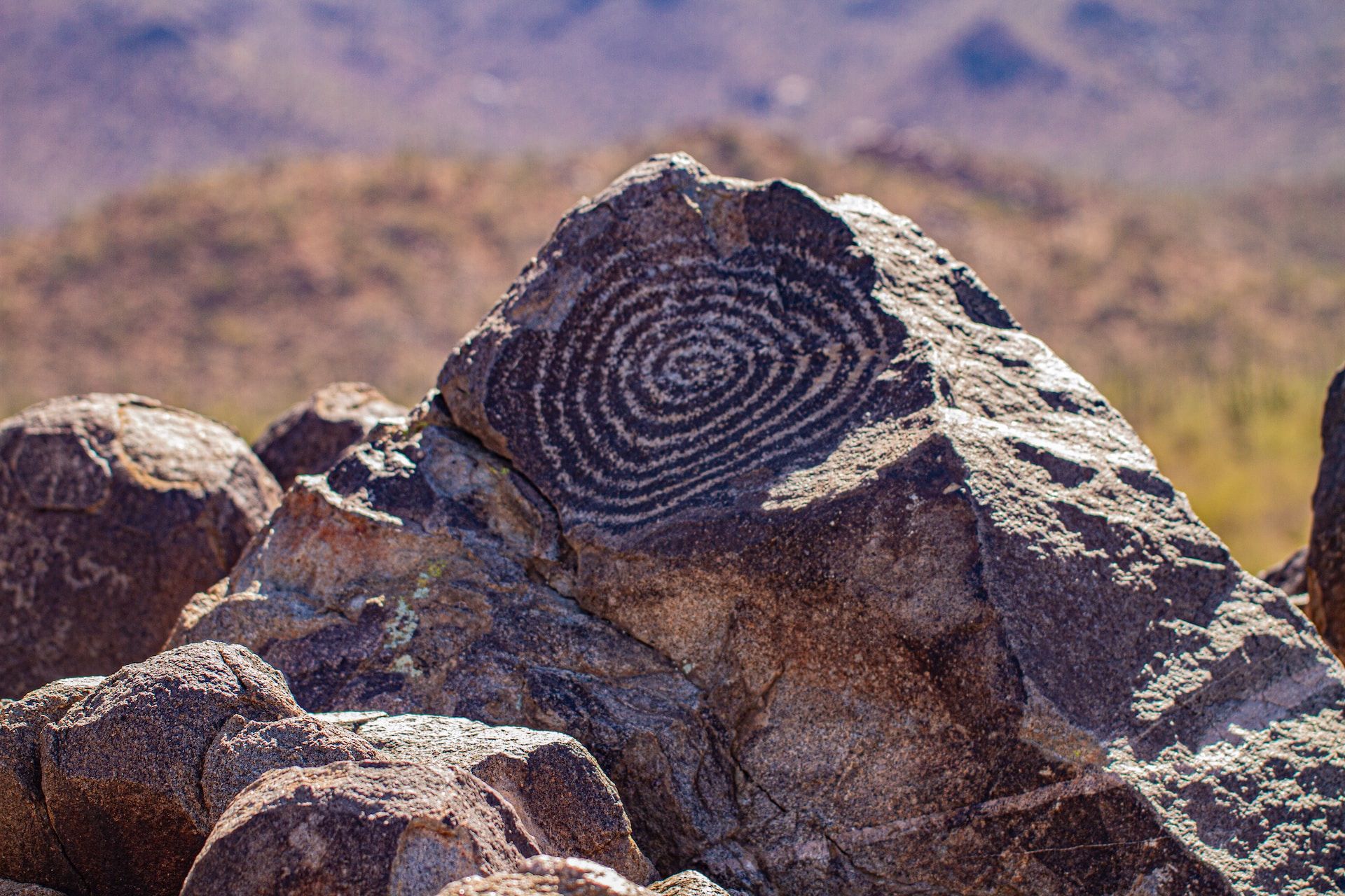Petroglyphs in Saguaro National Park West, Arizona