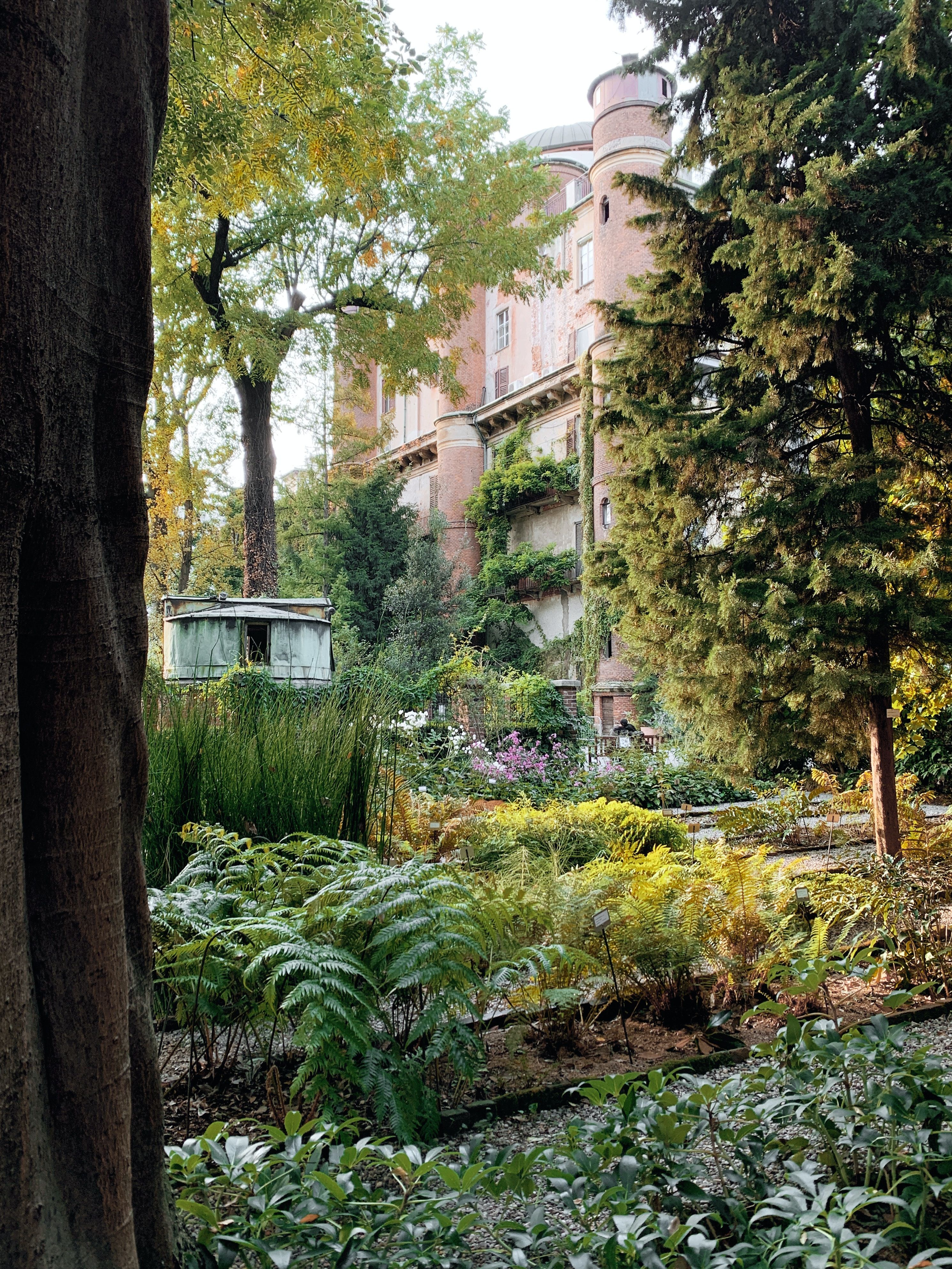 Orto Botanico di Brera in Milan, Italy